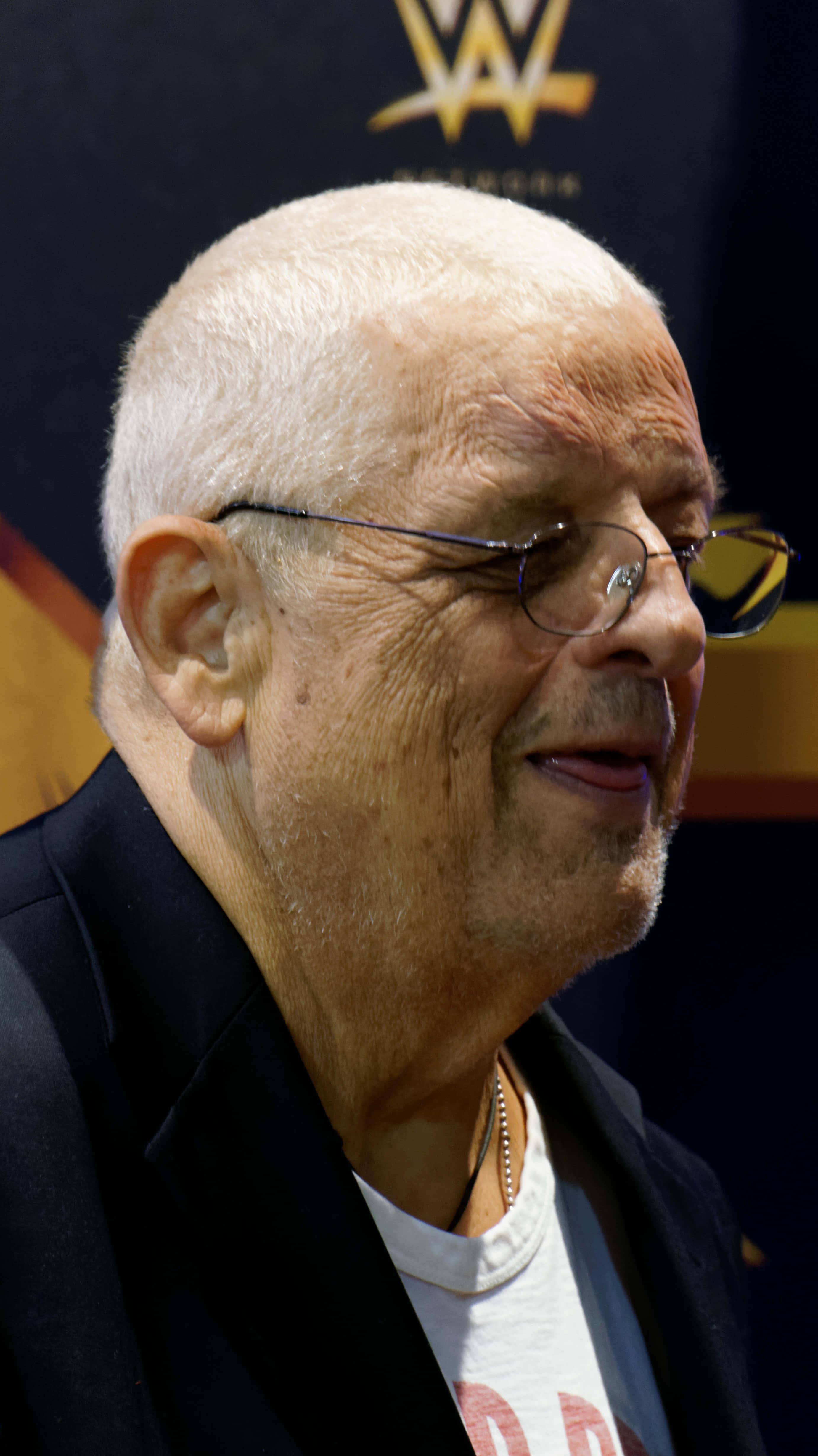 Dusty Rhodes 桌布 壁紙 — 一位白髮戴眼鏡的長者，在背後有WWE品牌標誌的活動中溫暖微笑的特寫。