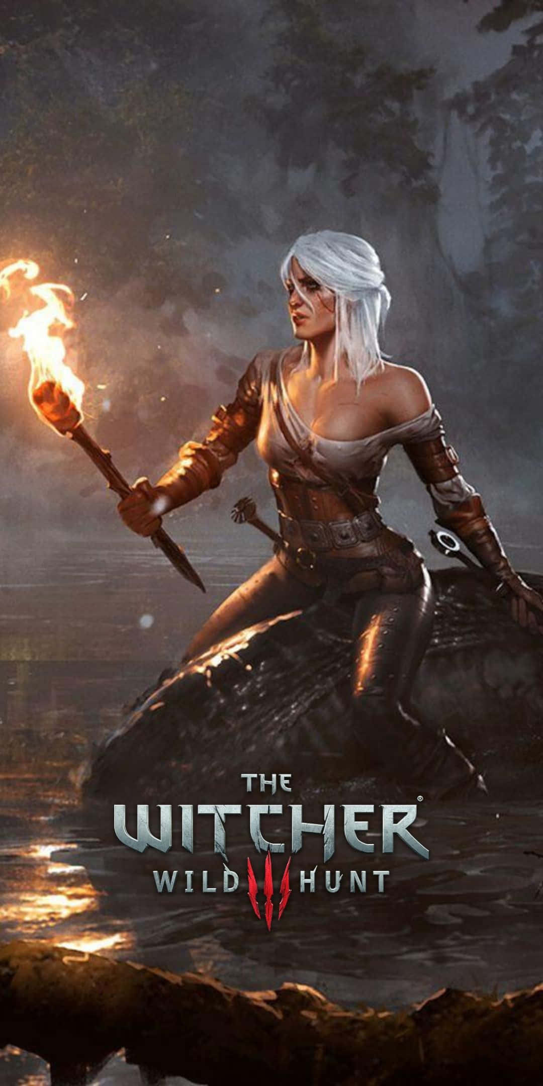 Pixel 3 The Witcher 3 桌布 壁紙 — 一位白髮獵魔士身穿皮甲，在黃昏時分的霧氣森林中坐在岩石上，手持燃燒的火把。