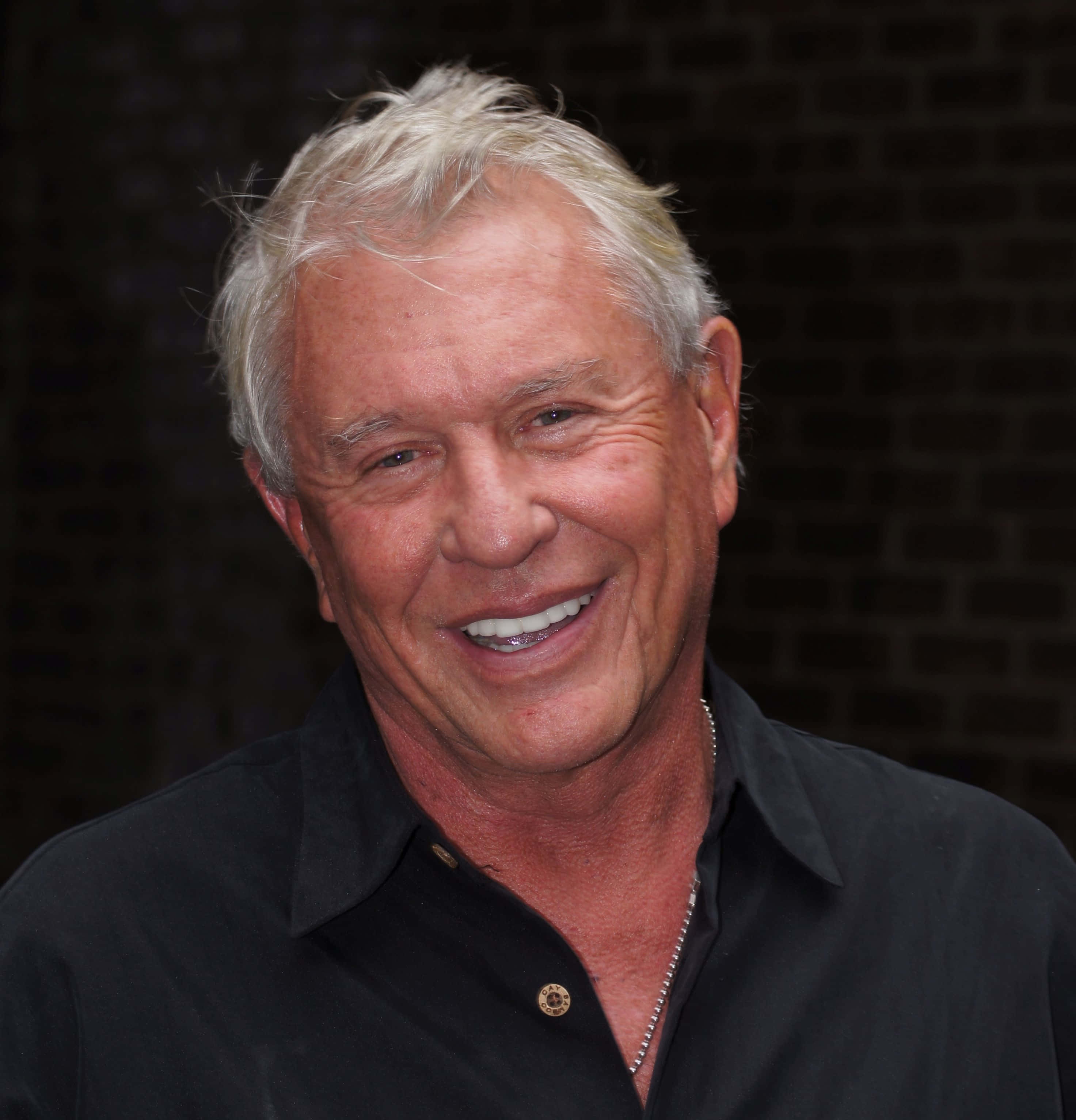 Tom Berenger 桌布 壁紙 — 一位白髮的開朗長者，在深色磚牆背景下溫暖地微笑。