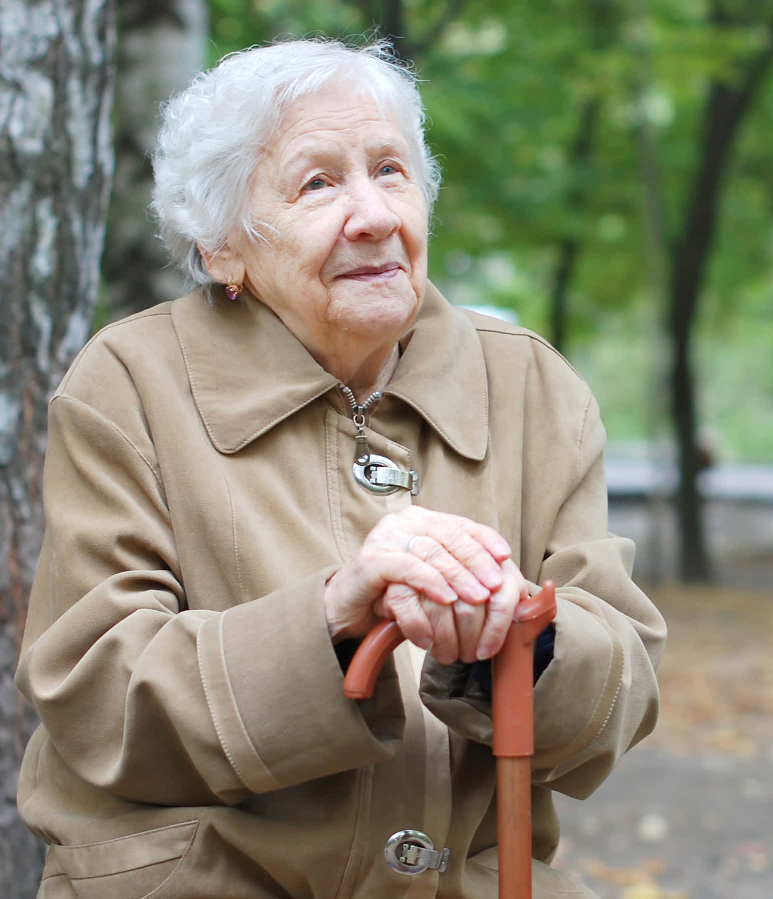 Fall Senior 桌布 壁紙 — 一位白髮老婦人在綠樹成蔭的公園裡拄著手杖，溫柔地微笑。