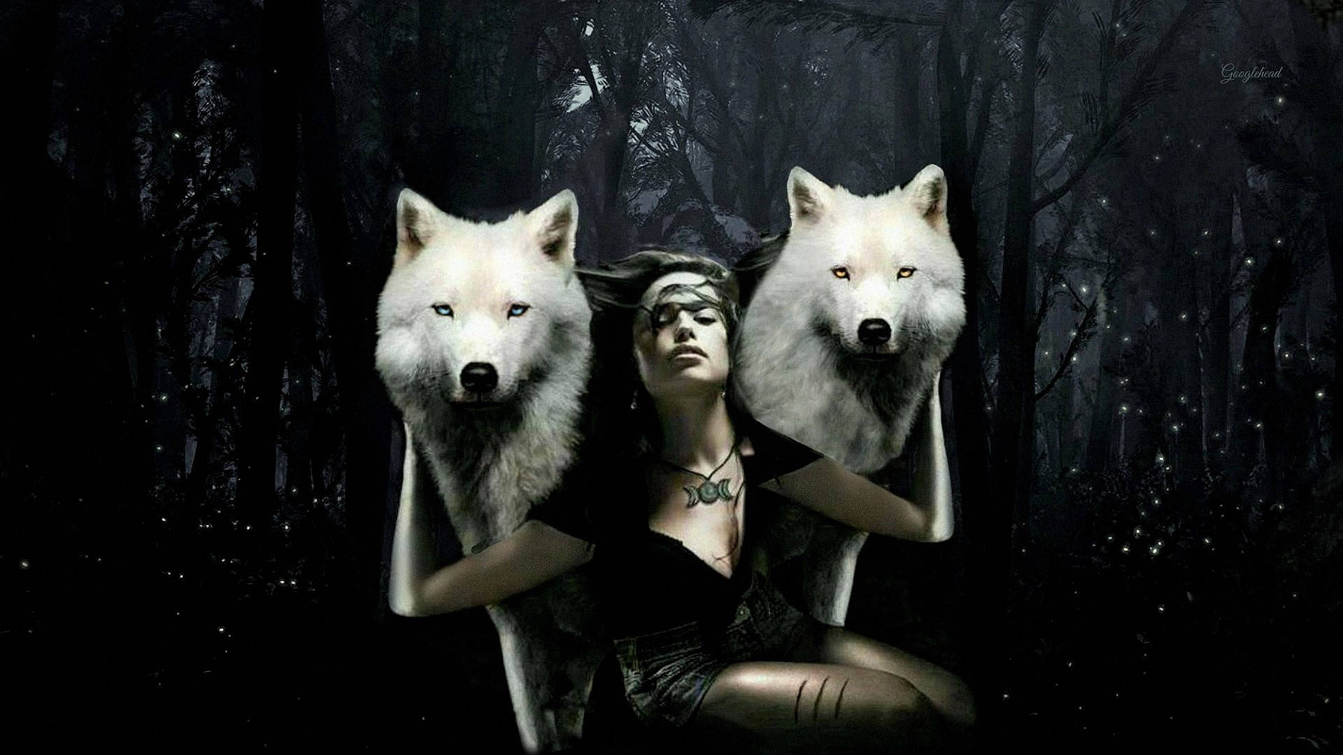 Awesome Photoshop 桌布 壁紙 — 一位眼睛發光的女性坐在星光燦爛的夜空下，兩側有兩隻白狼，身處黑暗神秘森林中。