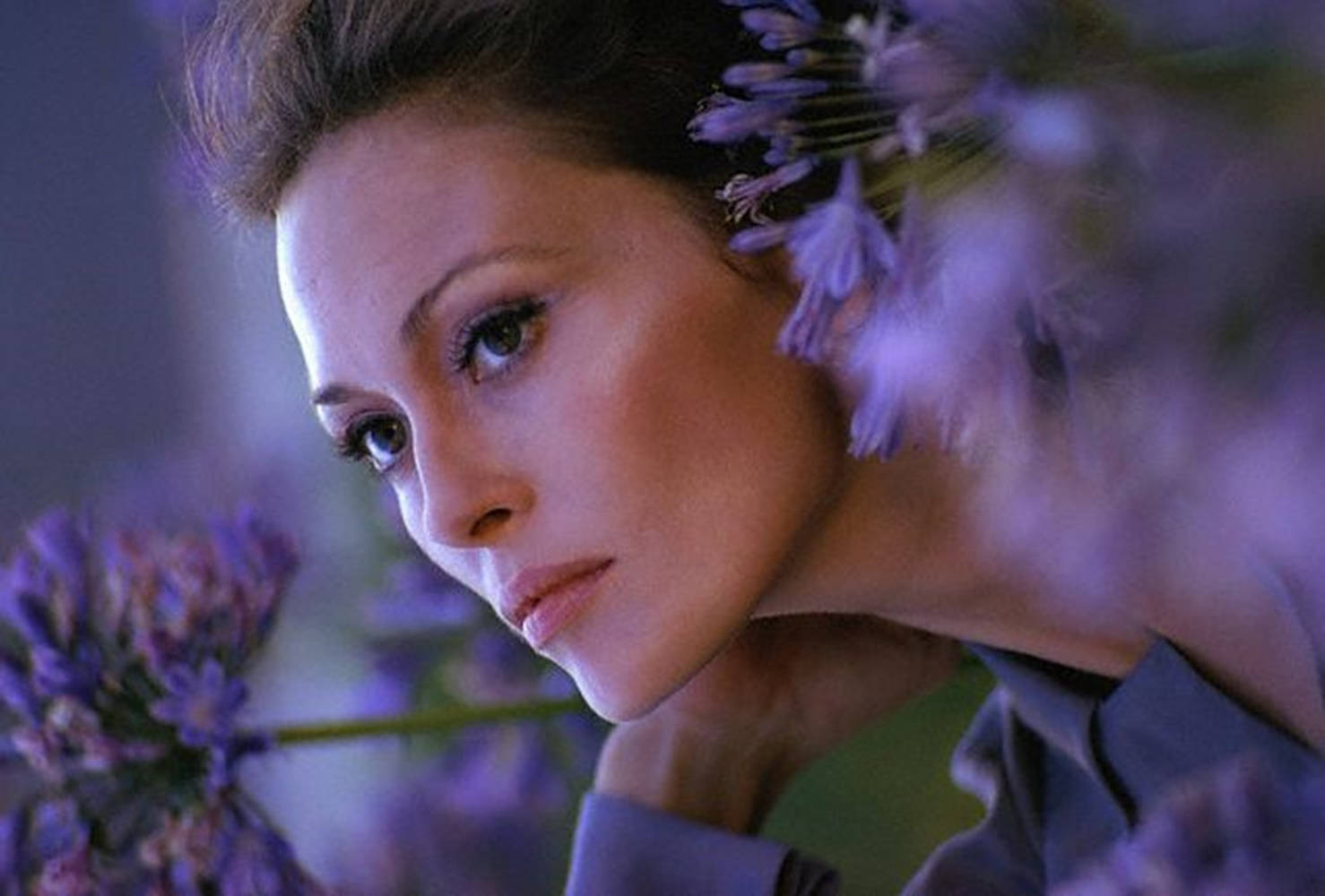 Celebrity 桌布 壁紙 — 一位眼神強烈的女性，被柔和的紫色花朵框住，呈現夢幻般的特寫肖像。
