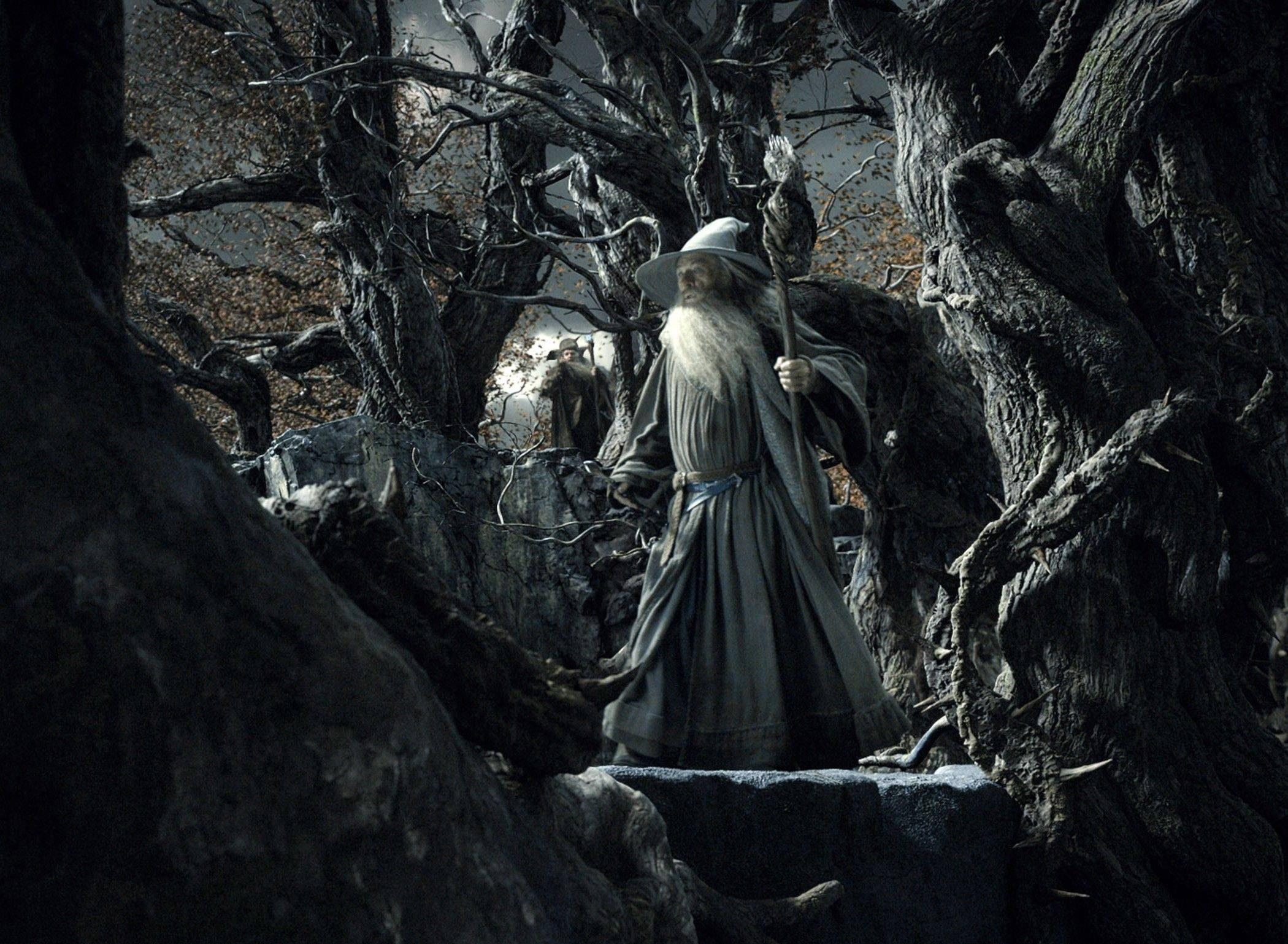 Gandalf 桌布 壁紙 — 一位睿智的巫師，留著長長的白鬍鬚，莊嚴地站在黑暗扭曲的森林中，手持法杖。