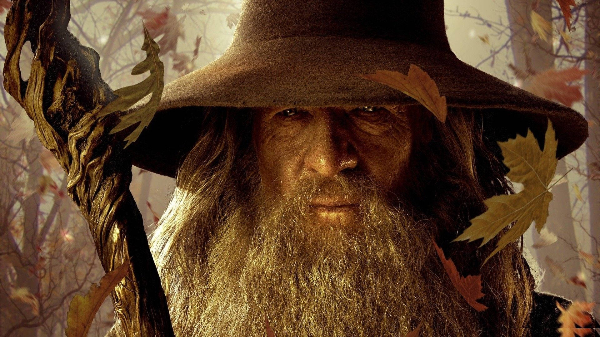 Gandalf 桌布 壁紙 — 一位睿智的巫師，長鬍鬚，戴寬邊帽，站在森林中，秋葉在他周圍旋轉。