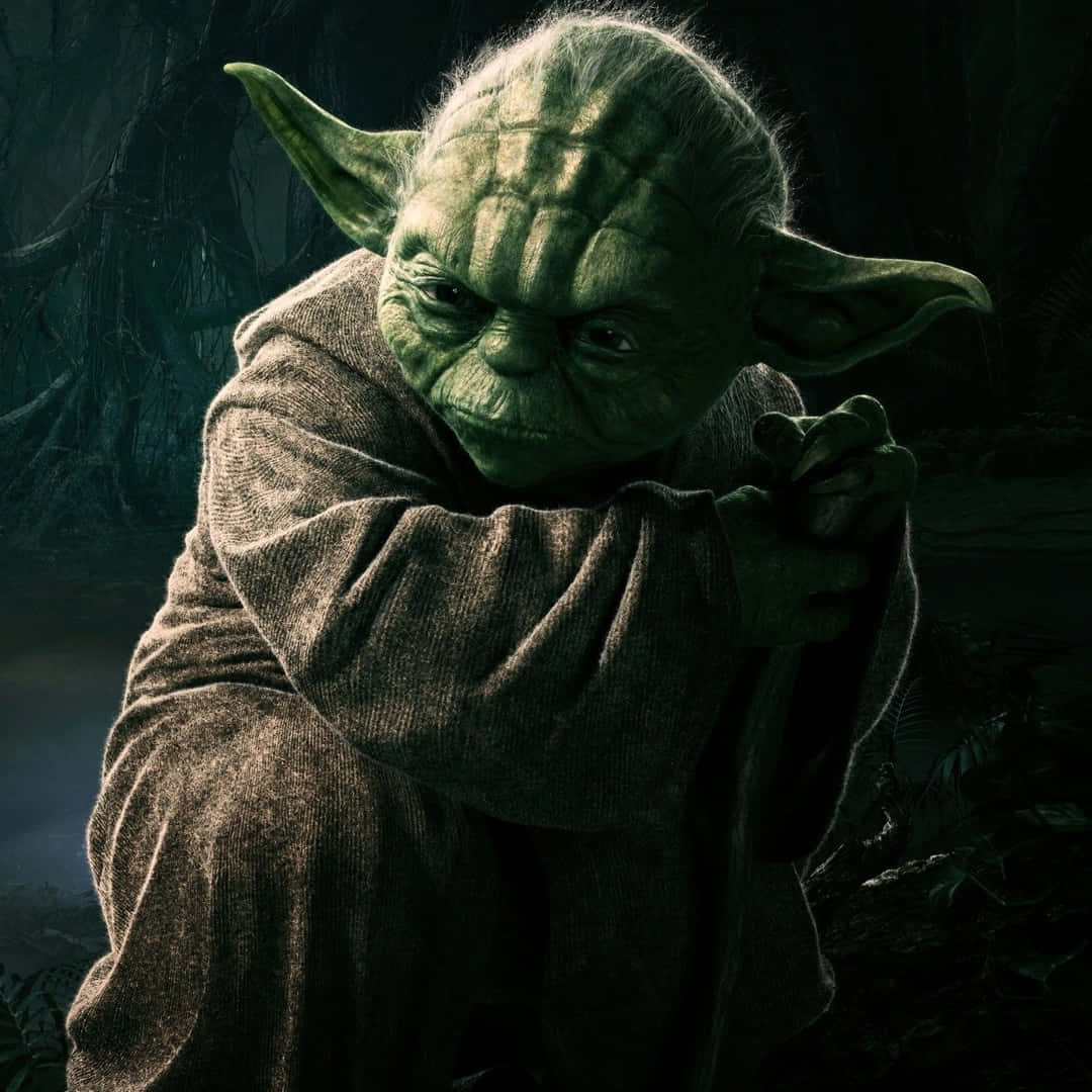 Star Wars Profile 桌布 壁紙 — 一位睿智的綠色皮膚絕地大師，尖耳朵，滿臉皺紋，站在黑暗的森林中，雙手合十，身穿棕色長袍。