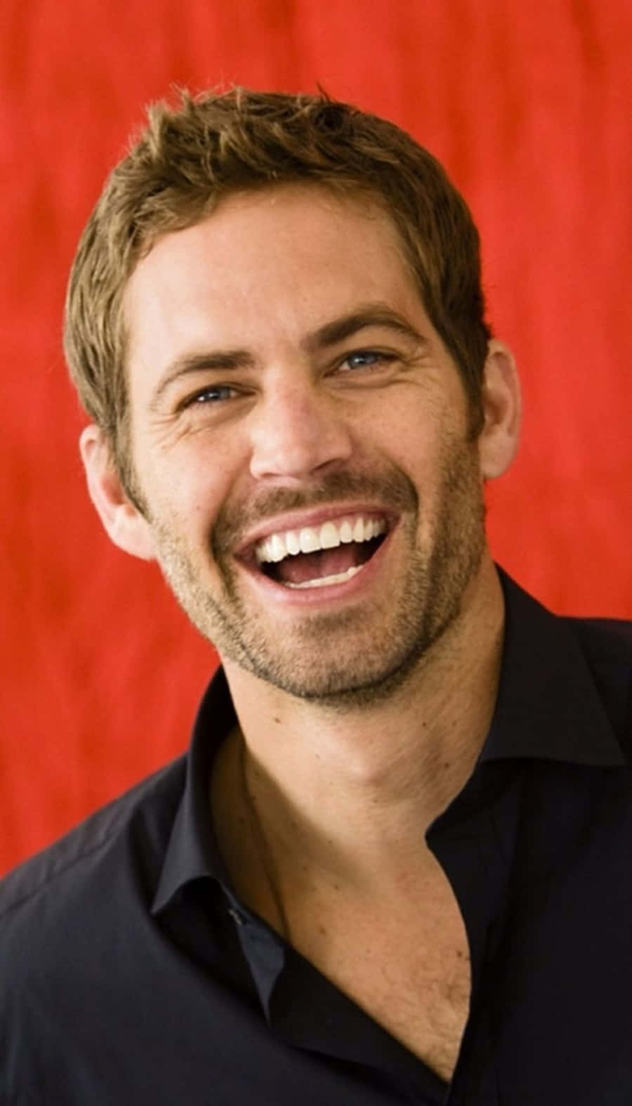 Paul Walker 桌布 壁紙 — 一位短棕髮留鬍鬚的男人，在鮮紅色窗簾背景下開懷大笑。