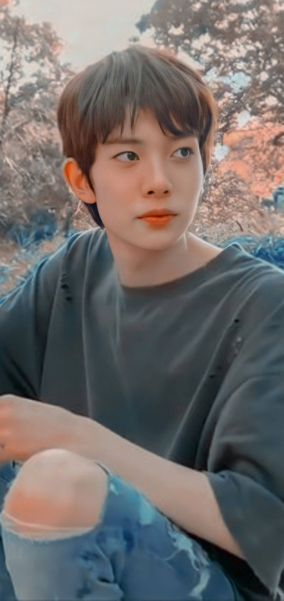 Kpop Aesthetic 桌布 壁紙 — 一位短棕髮的年輕人坐在戶外柔和的日落光線中，穿著灰色襯衫和破洞牛仔褲。