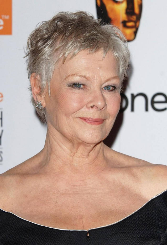 Judi Dench 桌布 壁紙 — 一位短灰髮藍眼睛女性的特寫肖像，對著鏡頭溫柔微笑。
