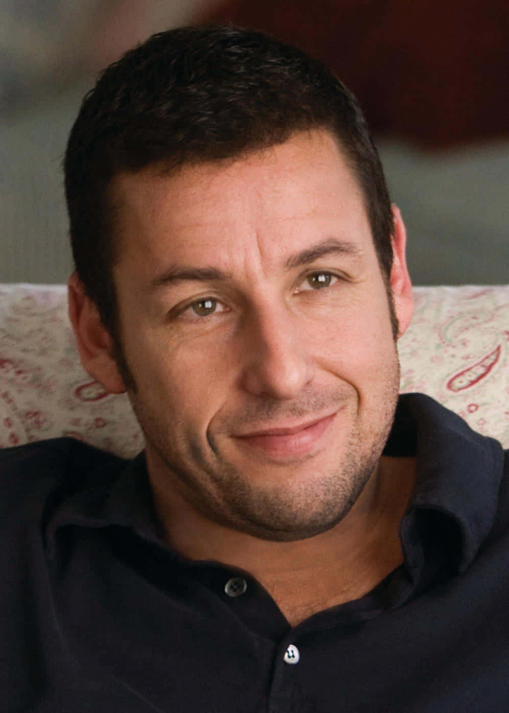 Adam Sandler 桌布 壁紙 — 一位短黑髮、帶著含蓄微笑的男子，放鬆地坐在一張有圖案的扶手椅上，身穿深色有領襯衫。