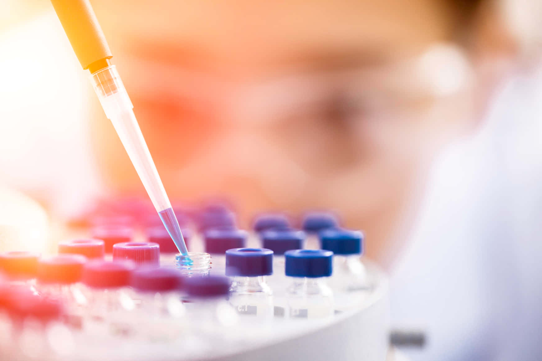 科學 桌布 壁紙 — 一位科學家在實驗室中小心地使用移液器將藍色液體轉移到試管中，周圍是色彩繽紛的小瓶。