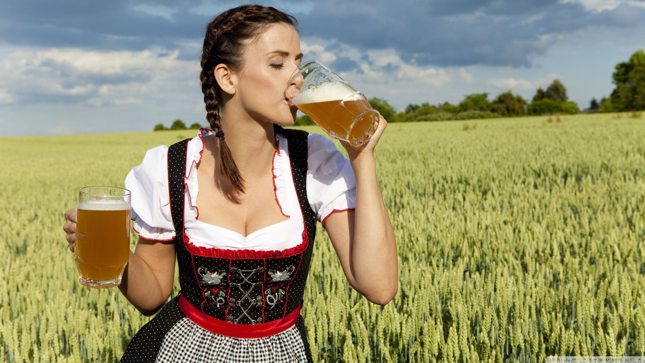 Beer 桌布 壁紙 — 一位穿著傳統Dirndl裙的女性在陽光照耀的小麥田裡，在陰天天空下喝著啤酒。