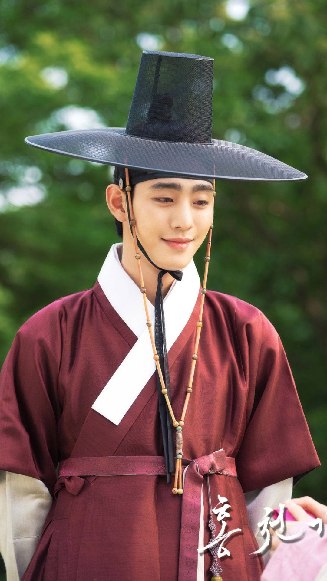 Ahn Hyo Seop 桌布 壁紙 — 一位穿著傳統韓國韓服和黑色葛帽的年輕男子，在茂密的綠色森林背景下溫柔微笑。