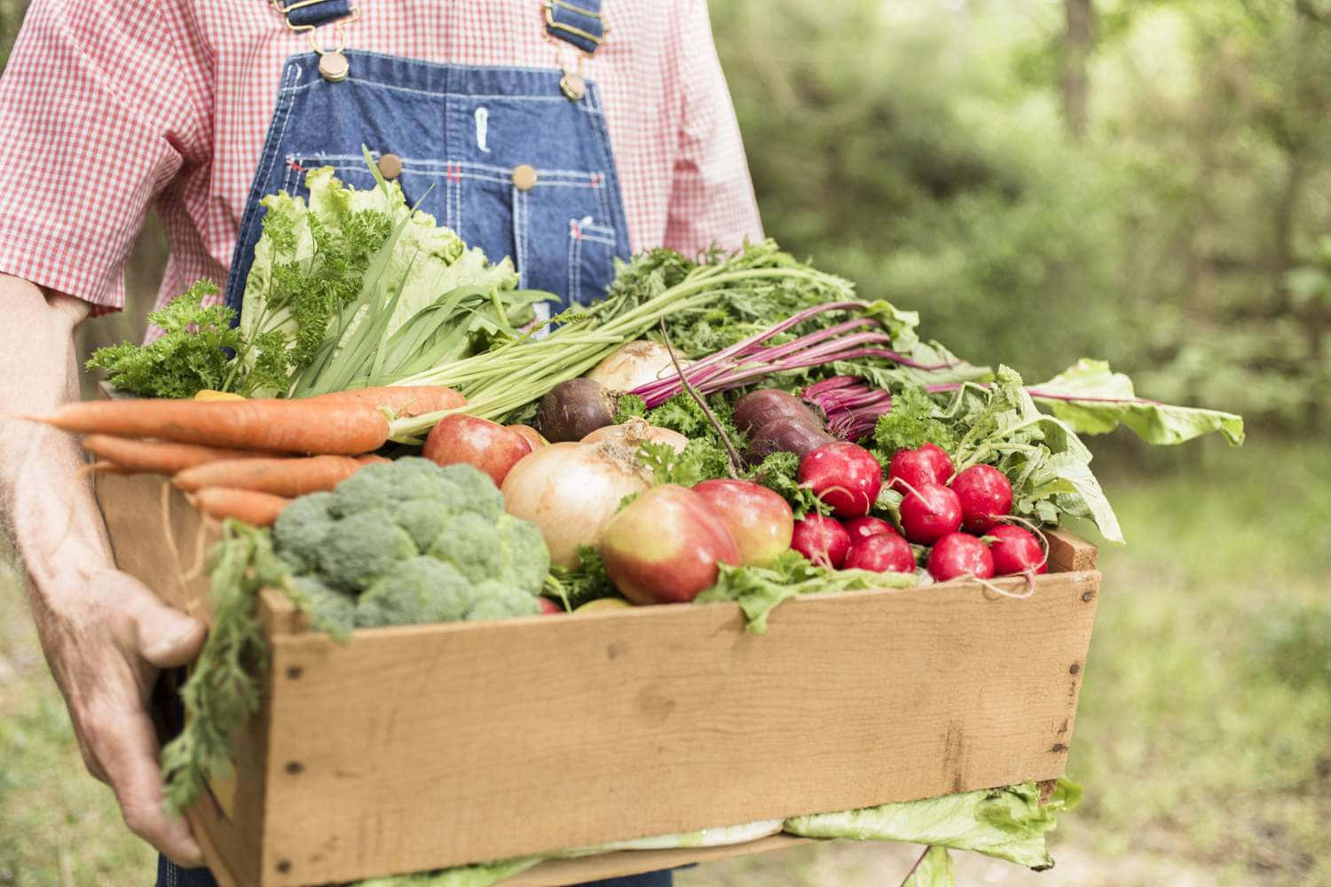 Organic Farming 桌布 壁紙 — 一位穿著吊帶褲的農夫在陽光明媚的戶外環境中，抱著一個裝滿新鮮蔬菜的木箱。