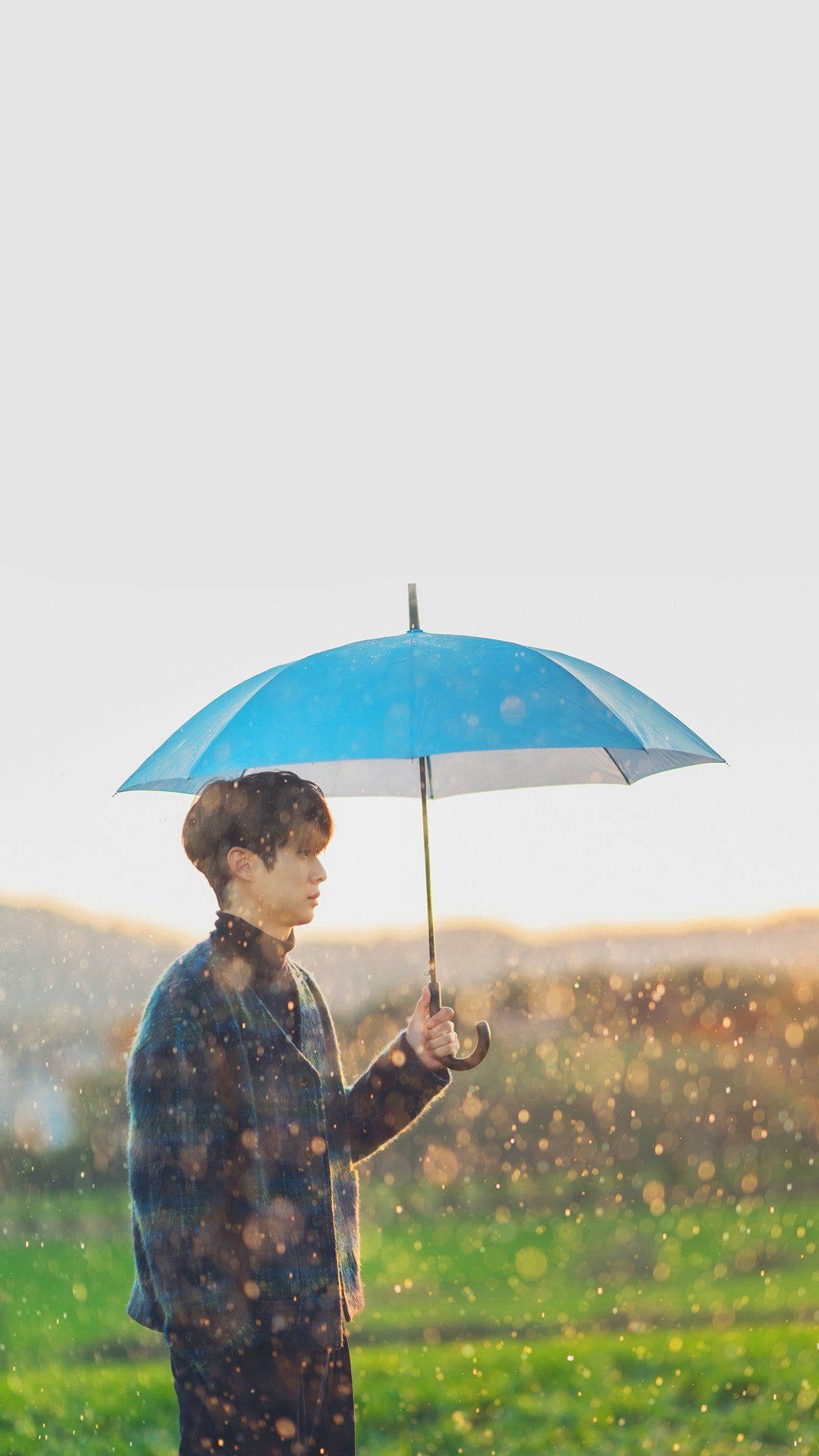崔宇植 桌布 壁紙 — 一位穿著格子外套的年輕男子拿著一把藍色雨傘，金色雨點在陽光照耀的田野中落下。