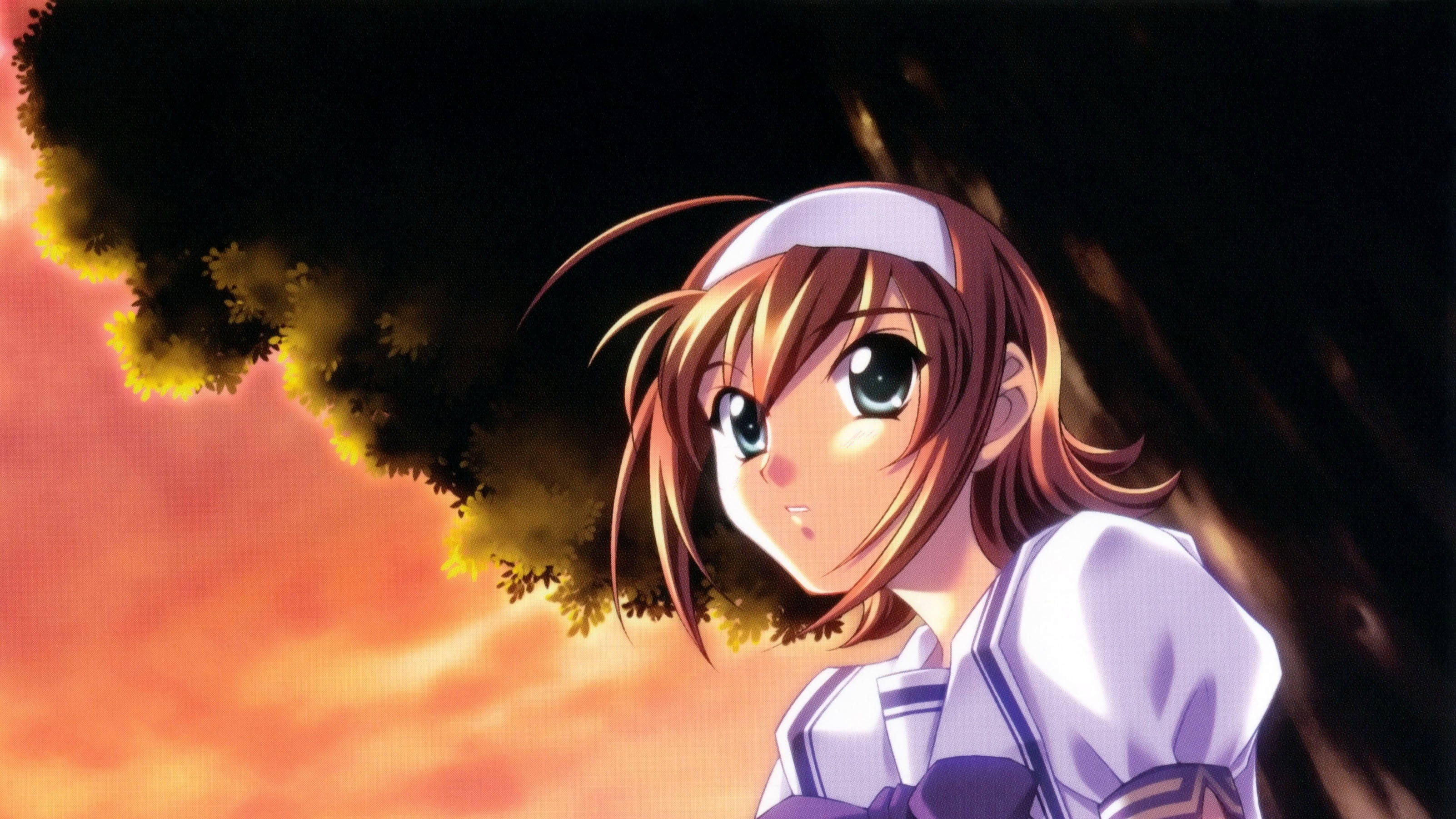 kimi ga nozomu eien 桌布 壁紙 — 一位穿著水手服的年輕動漫女孩，在暗色樹枝框住的火紅夕陽天空下溫柔凝視。