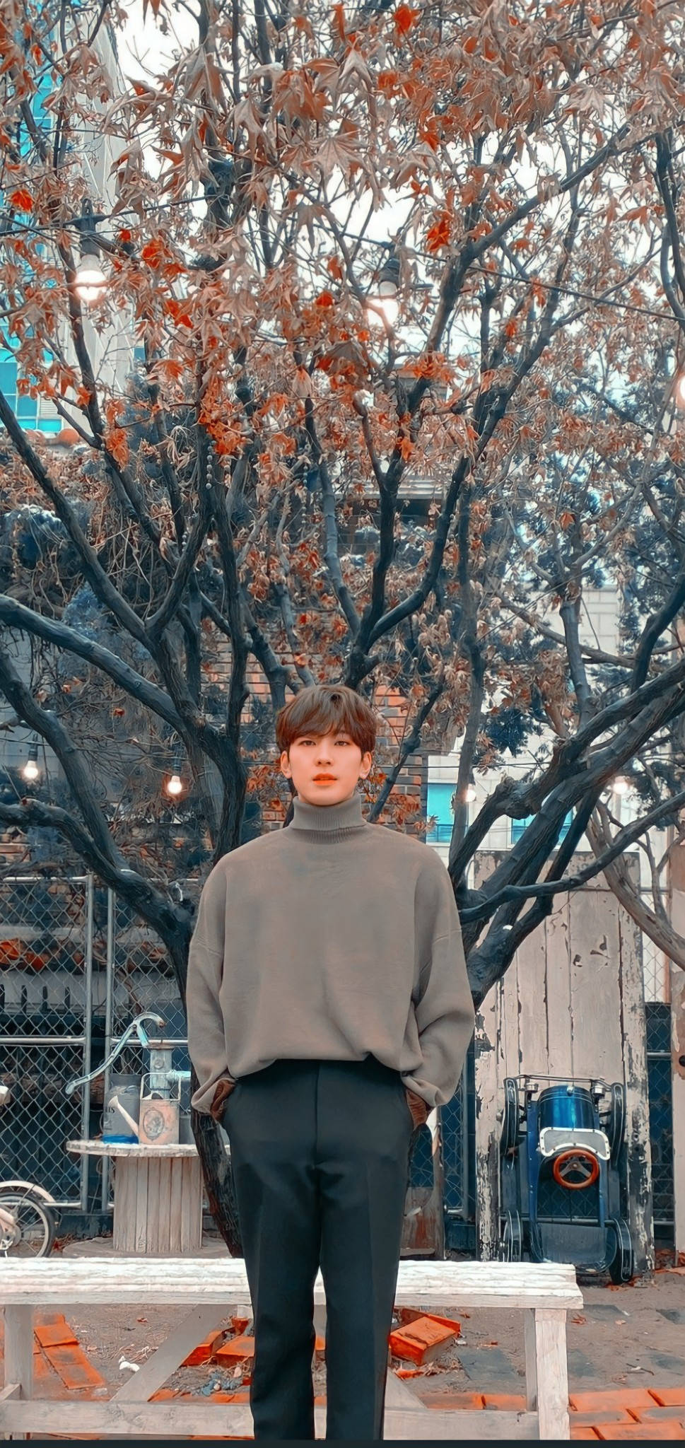 원우 桌布 壁紙 — 一位穿著灰色高領毛衣的年輕男子，在城市背景下，靜靜地站在一棵有秋葉的樹下。