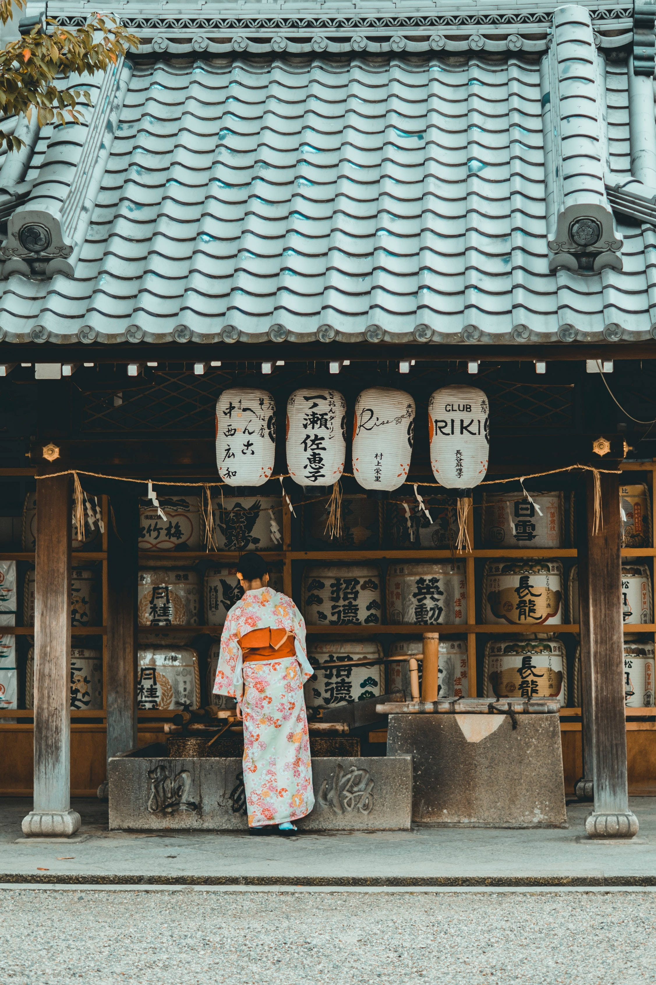 日本 桌布 壁紙 — 一位穿著花卉和服的人站在傳統日本神社前，神社有瓦片屋頂和懸掛的燈籠。