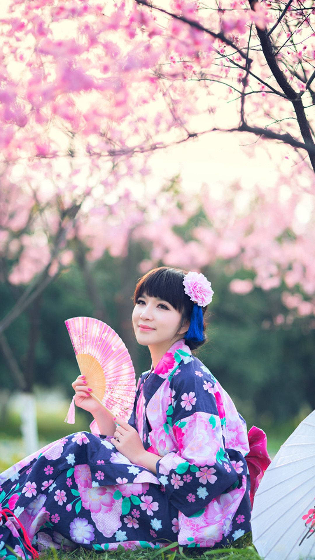 Japan Girl 桌布 壁紙 — 一位穿著花卉和服的女士坐在盛開的粉紅櫻花下，手持相配的扇子。