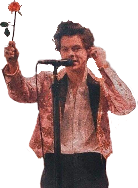 harry 桌布 壁紙 — 一位穿著花卉圖案外套的表演者手持紅玫瑰，同時在麥克風附近調整耳機。