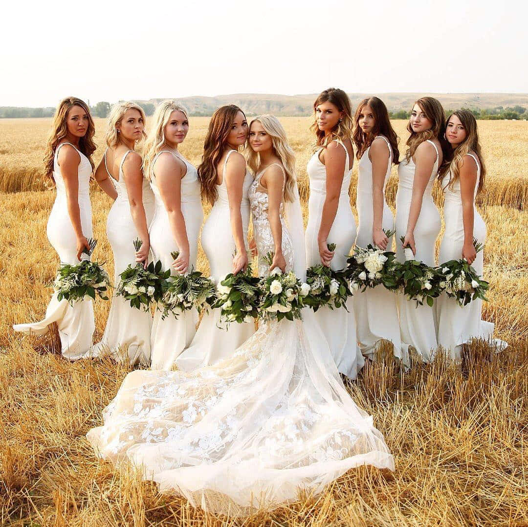 Bridesmaids 桌布 壁紙 — 一位穿著蕾絲婚紗的新娘與她的伴娘們穿著白色連衣裙，在金色麥田的日落時分手持花束。