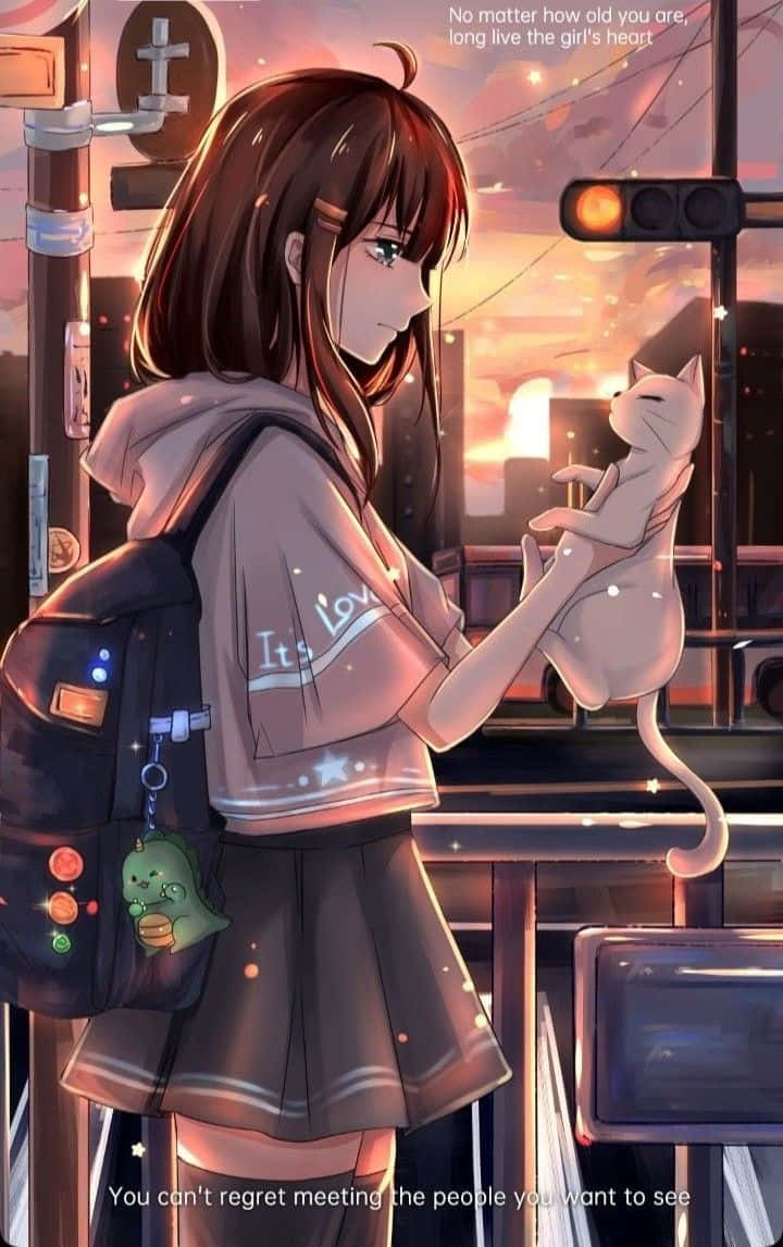 動漫女孩 桌布 壁紙 — 一位穿著連帽衫的年輕動漫女孩在溫暖的夕陽下於城市街角抱著一隻白貓。