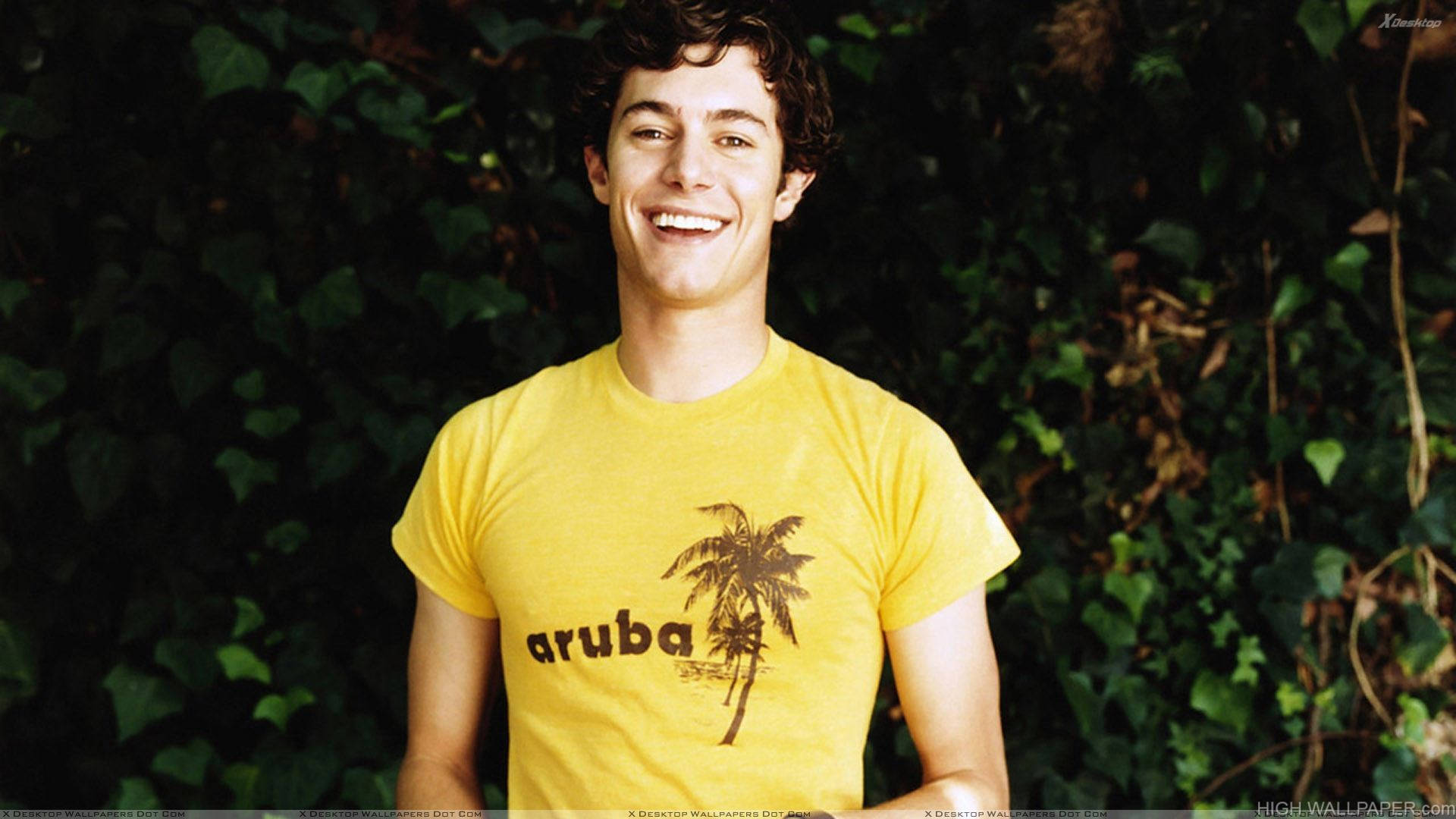 亞當·布羅迪 桌布 壁紙 — 一位穿著鮮黃色 Aruba T 恤的開朗年輕男子，在茂密的綠色常春藤背景下溫暖地微笑。