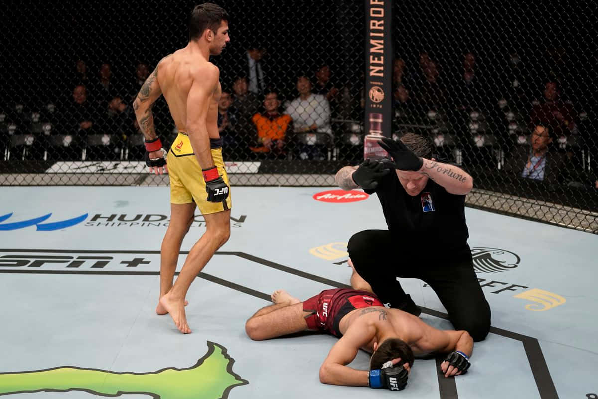 MMA 桌布 壁紙 — 一位穿著黃色短褲的勝利拳手站在被擊敗的對手之上，裁判在UFC八角籠內檢查他。