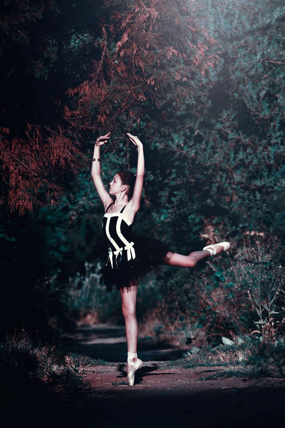 dancer 桌布 壁紙 — 一位穿著黑白芭蕾舞裙的芭蕾舞者在戲劇性燈光下的森林小徑上表演阿拉貝斯克。