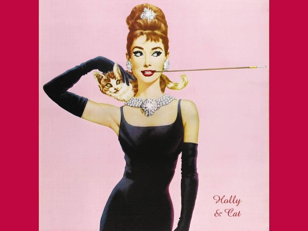 Tiffany's 桌布 壁紙 — 一位穿著黑色連衣裙的迷人女士在粉紅色背景下抱著一隻貓吸煙。