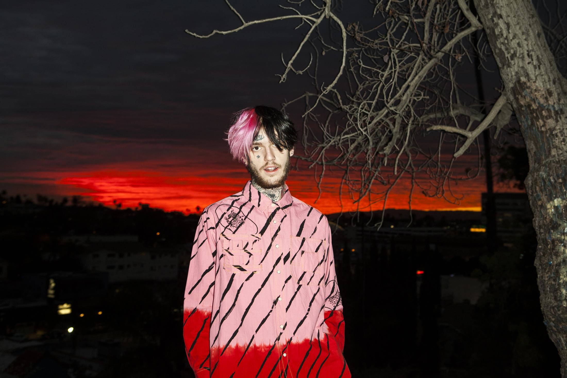 Peep 桌布 壁紙 — 一位粉紅色頭髮、身穿粉紅紅條紋襯衫的年輕男子站在一棵光禿禿的樹下，背景是火紅的日落天空。
