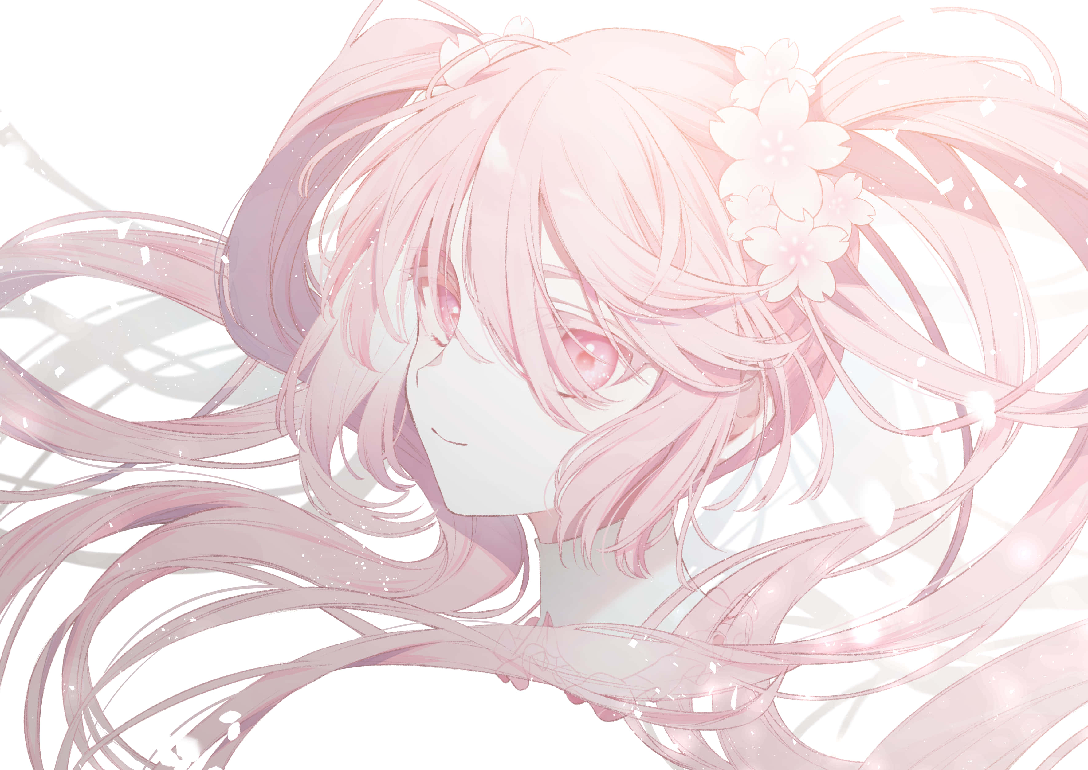Sakura Miku 桌布 壁紙 — 一位粉紅色頭髮的動漫女孩，頭髮上插著櫻花，在明亮的白色背景前溫柔地微笑。