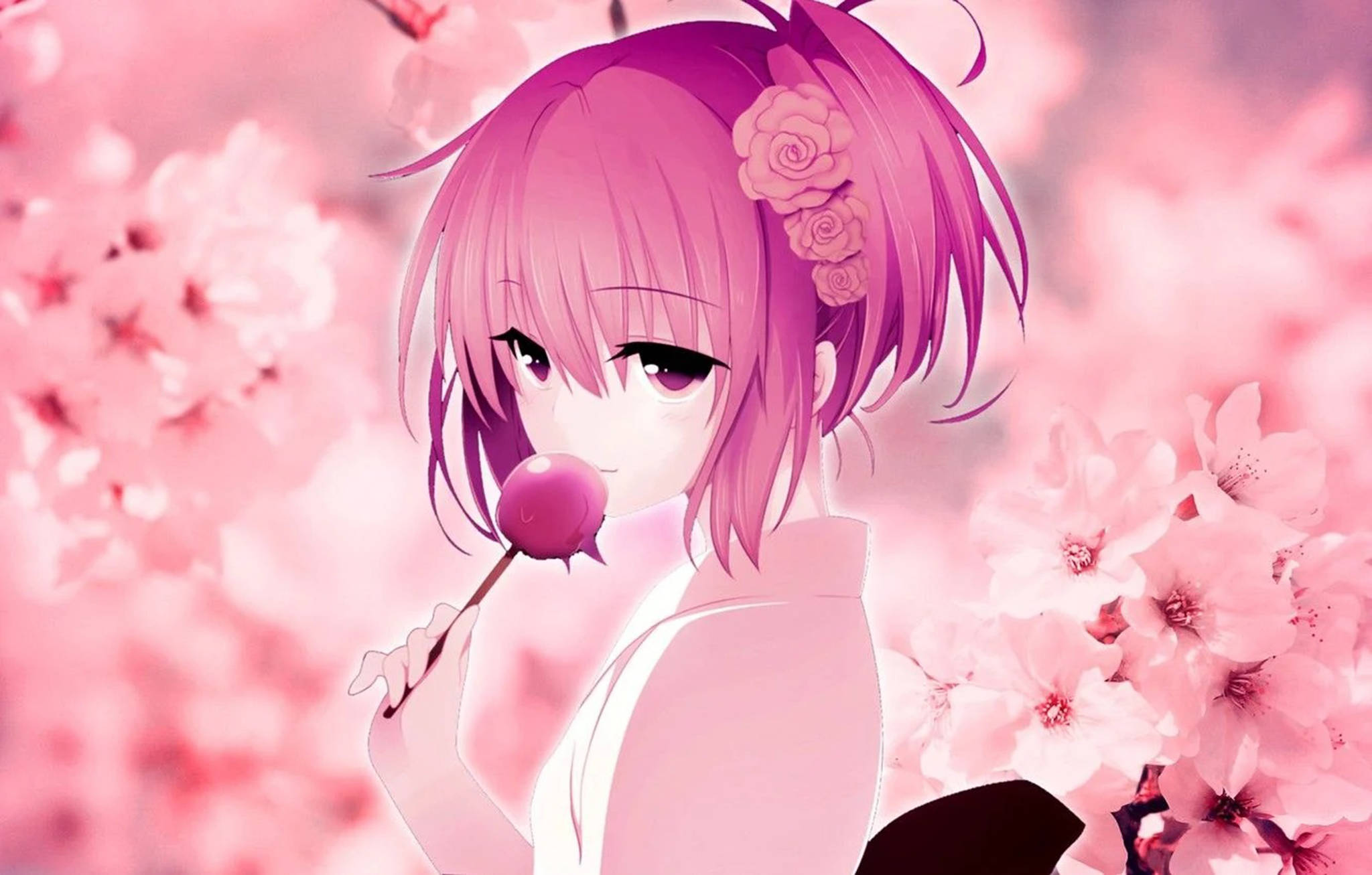 粉色動漫美學 桌布 壁紙 — 一位粉紅色頭髮的動漫女孩穿著白色和服，在柔焦的櫻花田中拿著粉紅色的棒棒糖。