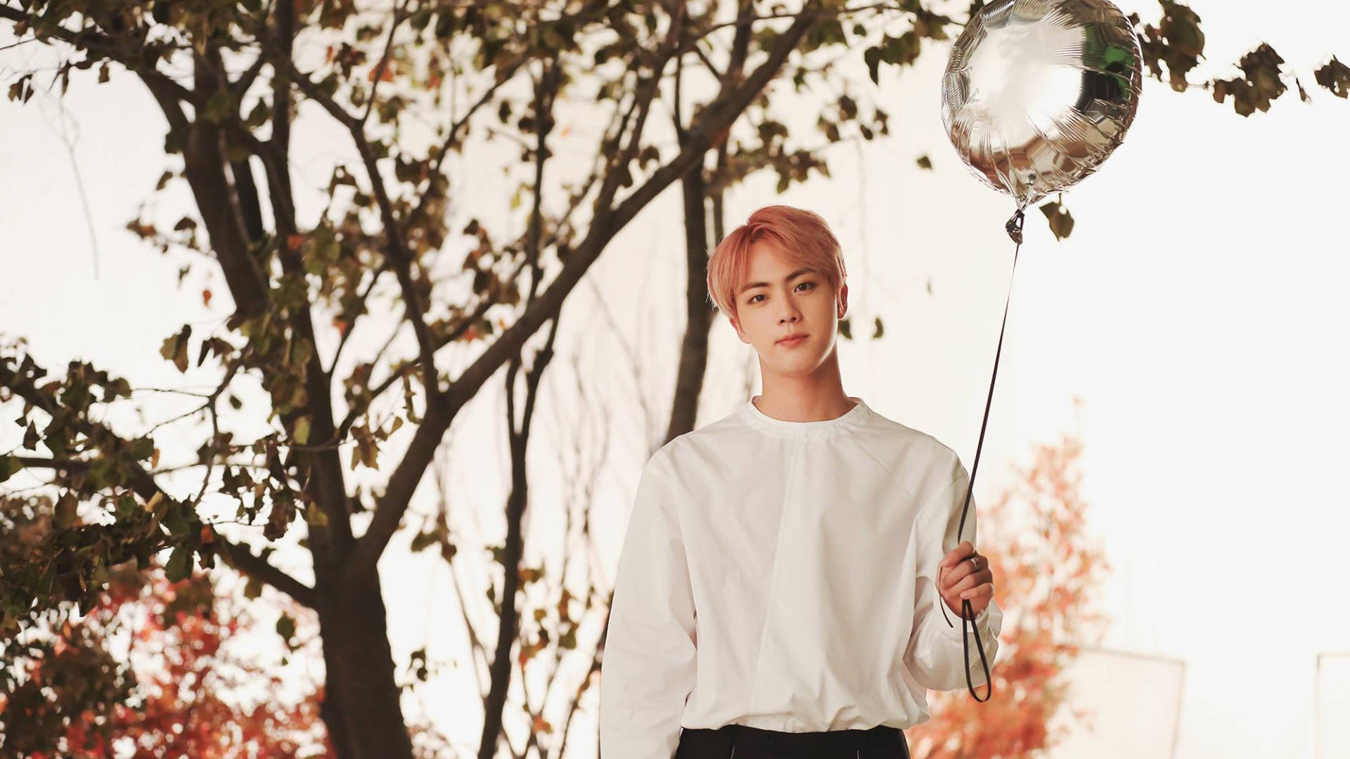 Jin 桌布 壁紙 — 一位粉紅色頭髮的年輕男子在柔和秋光穿過樹林時拿著一個銀色氣球。