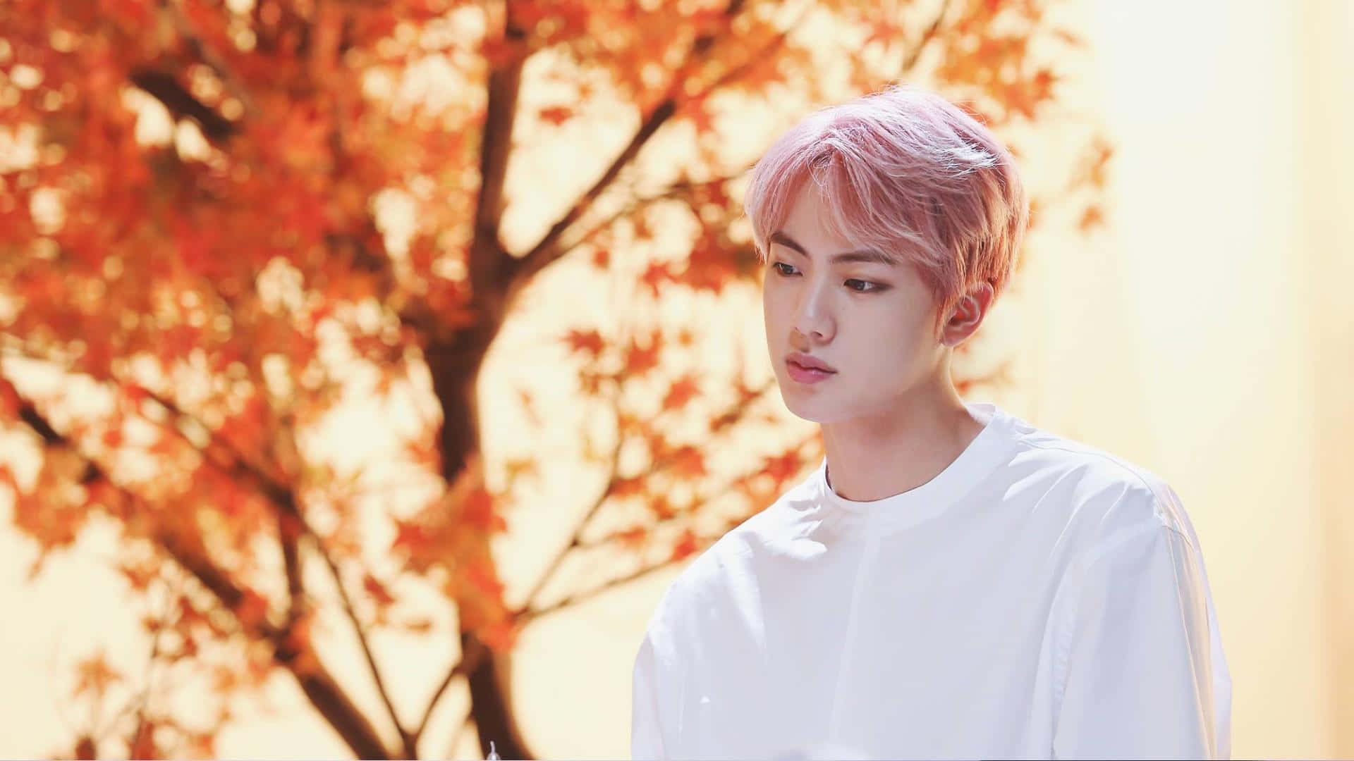Jin 桌布 壁紙 — 一位粉紅色頭髮的年輕男子站在柔和焦點的秋葉中，沐浴在溫暖的金色陽光下。