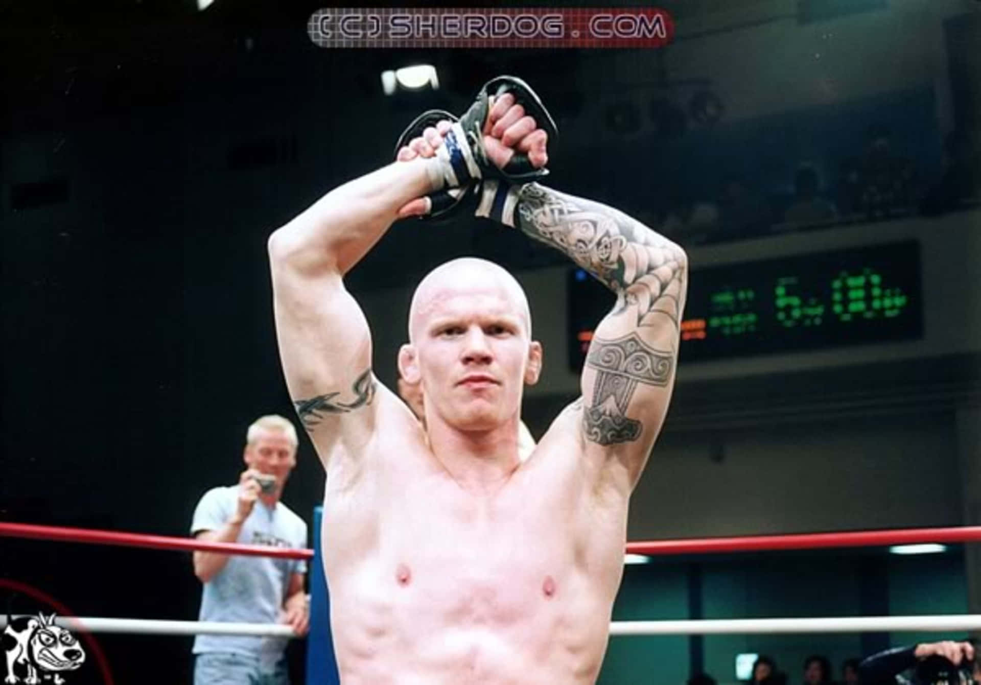 MMA 桌布 壁紙 — 一位紋身戰士在燈光昏暗的拳擊場內，背景有觀眾，舉起戴著手套的拳頭慶祝勝利。