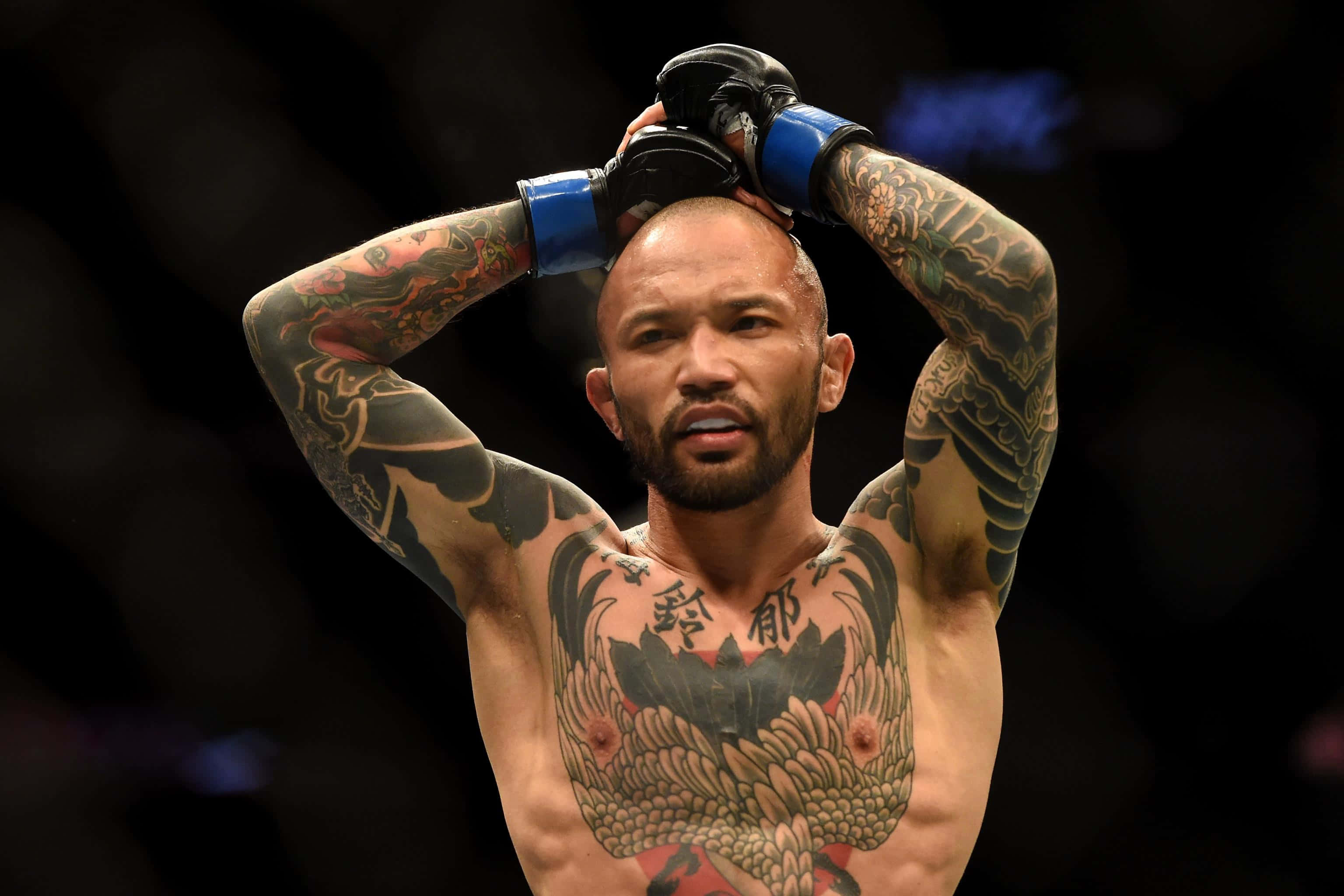 UFC 桌布 壁紙 — 一位紋身戰士將手套放在頭上，在昏暗的競技場中凝視著。