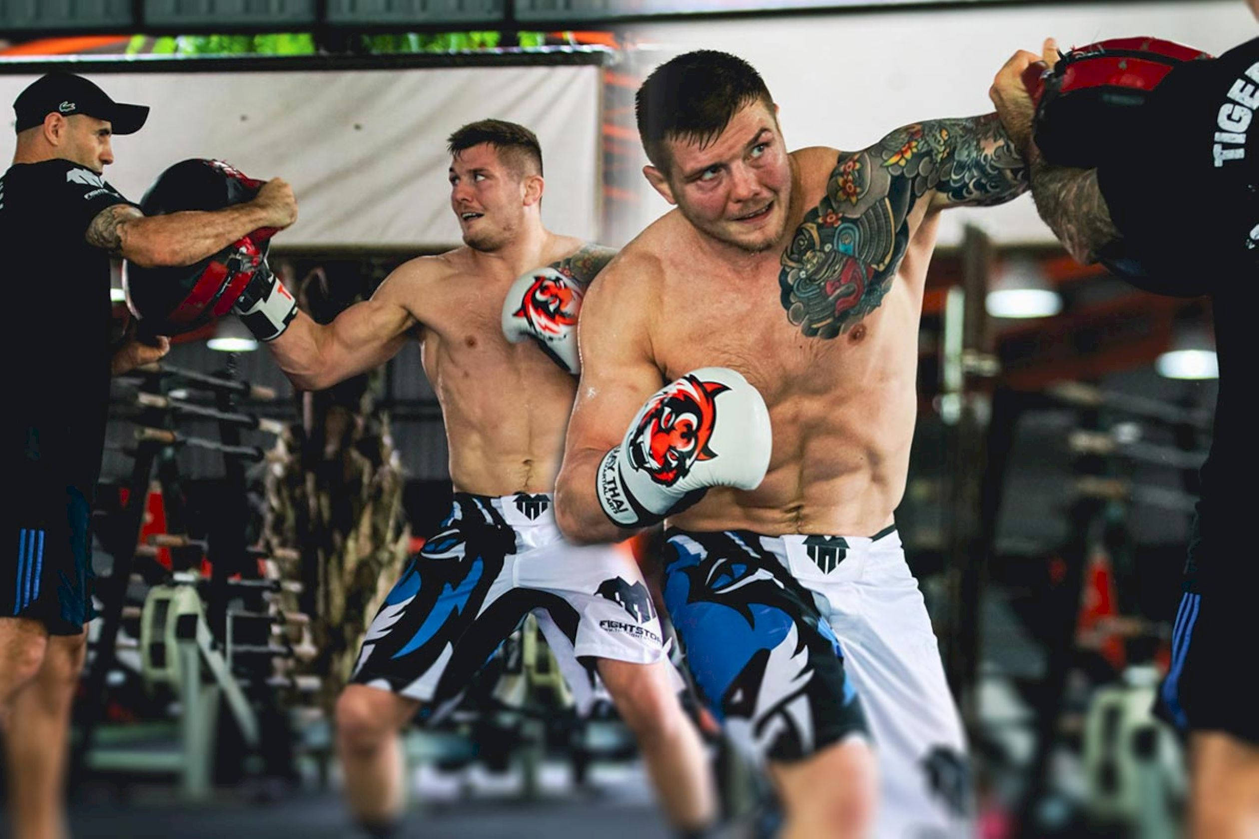 UFC 桌布 壁紙 — 一位紋身拳擊手戴著白色手套，在健身房與陪練夥伴進行激烈訓練時出拳。