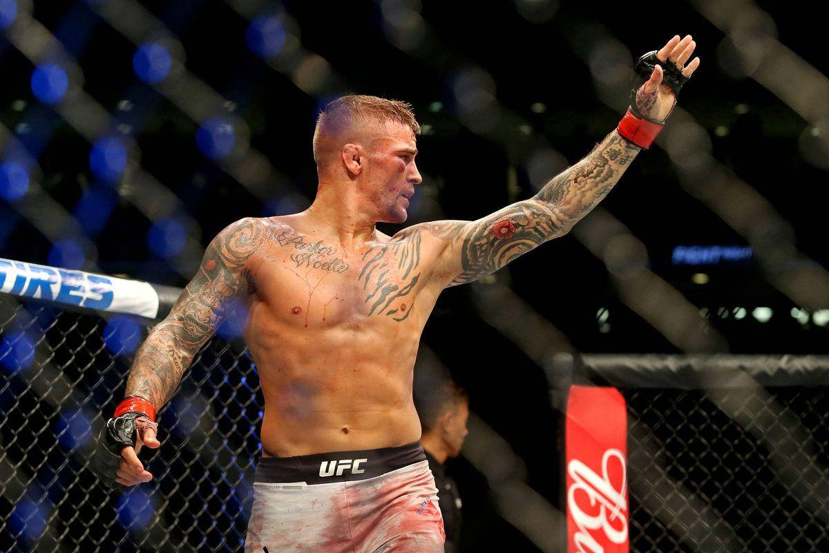 UFC 桌布 壁紙 — 一位紋身的MMA拳手穿著UFC短褲，在沾滿血跡的八角籠內舉手慶祝勝利。