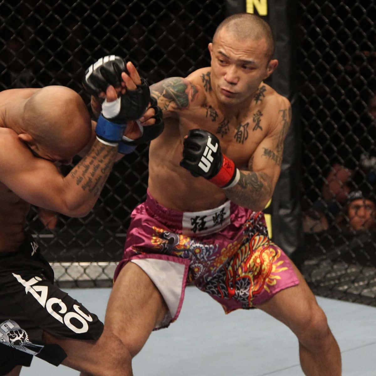 UFC 桌布 壁紙 — 一位紋身的MMA拳手穿著鮮豔短褲，在UFC比賽中於籠式八角籠內向對手揮拳。
