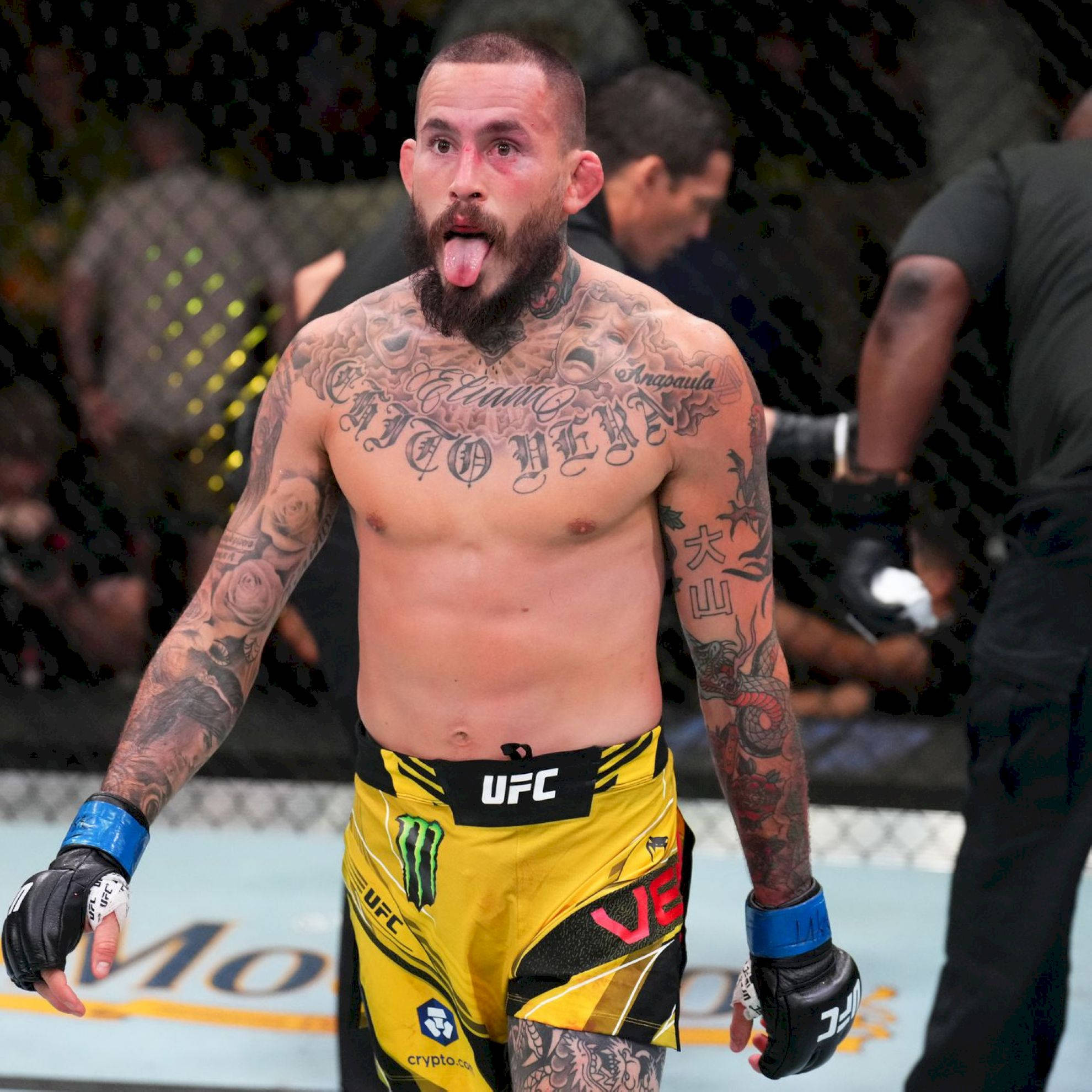 Champion 桌布 壁紙 — 一位紋身的UFC拳手穿著黃色短褲，在八角籠內伸出舌頭，擺出勝利姿勢。