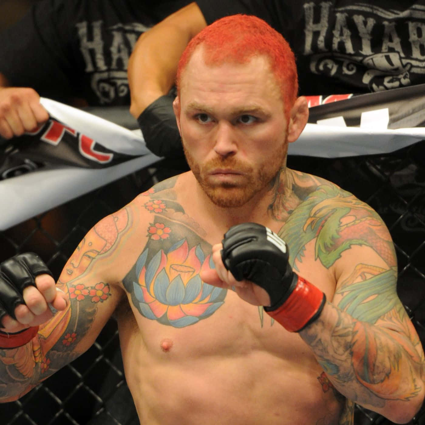 MMA 桌布 壁紙 — 一位紋身的混合武術家，紅髮，在籠中戴著黑色手套，凝視著。