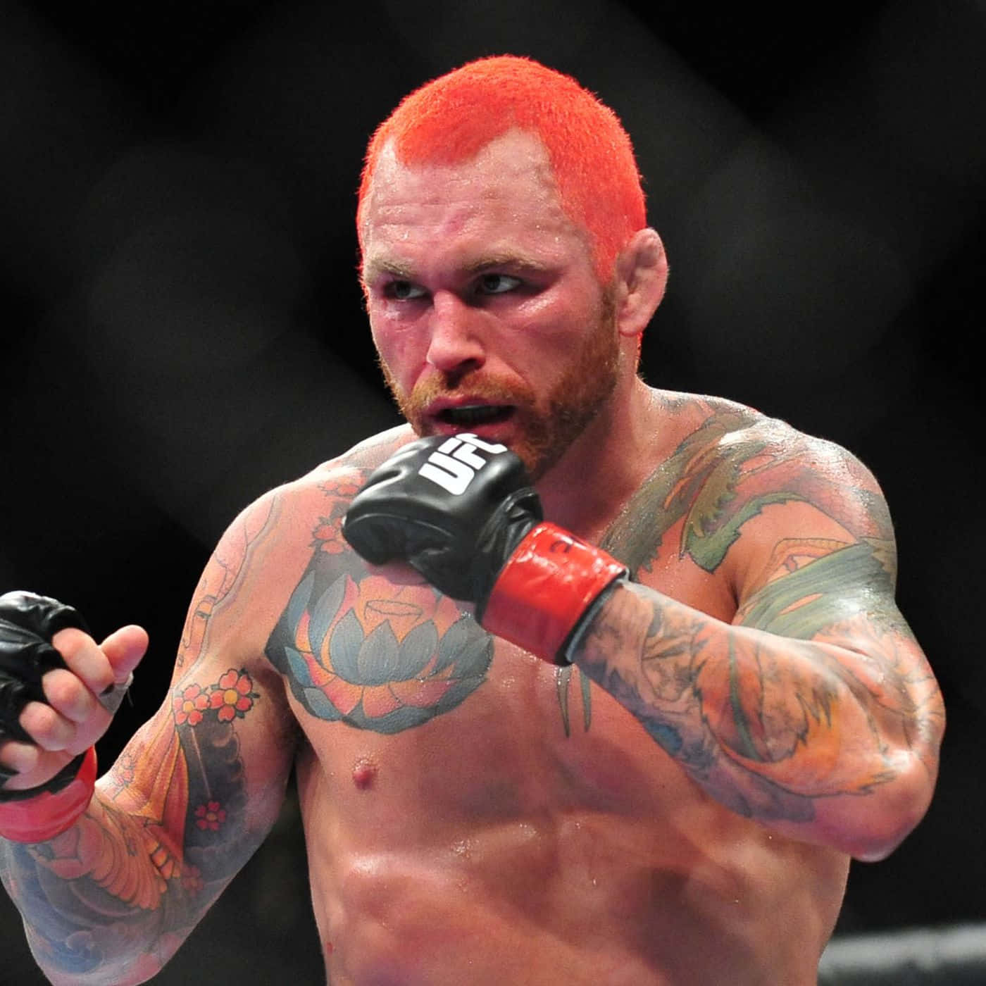 MMA 桌布 壁紙 — 一位紋身的綜合格鬥選手，擁有火紅的頭髮和強烈的專注力，在昏暗的八角籠中揮出一拳。