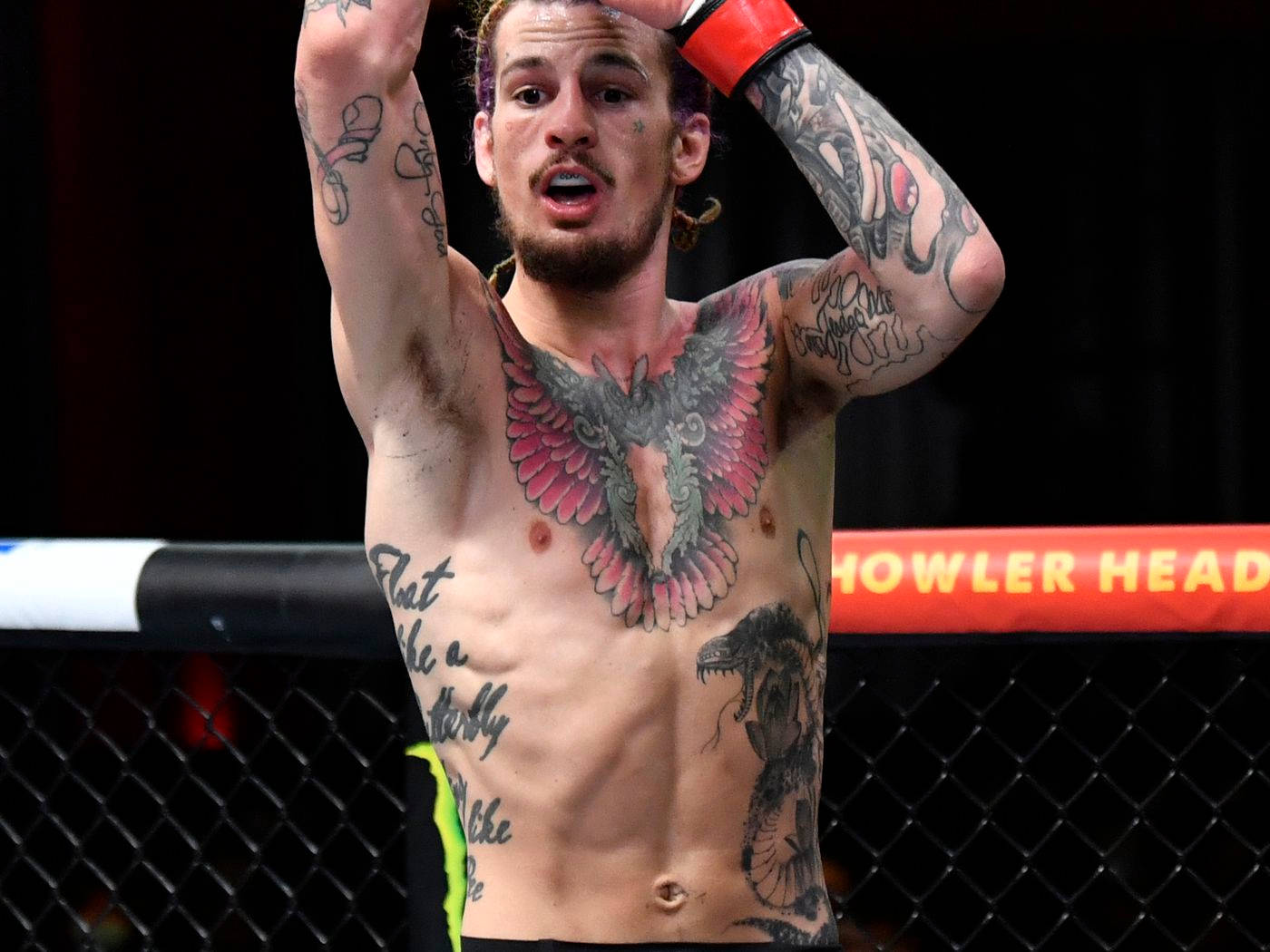 UFC 桌布 壁紙 — 一位紋身鬥士在籠中高舉雙臂，表情激昂，慶祝勝利。