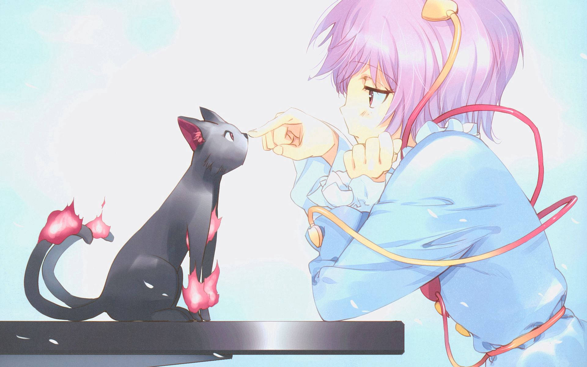 Animated 桌布 壁紙 — 一位紫髮動漫女孩在柔和的藍色背景上輕輕觸摸一隻尾巴尖端帶有粉紅色火焰狀的黑貓。