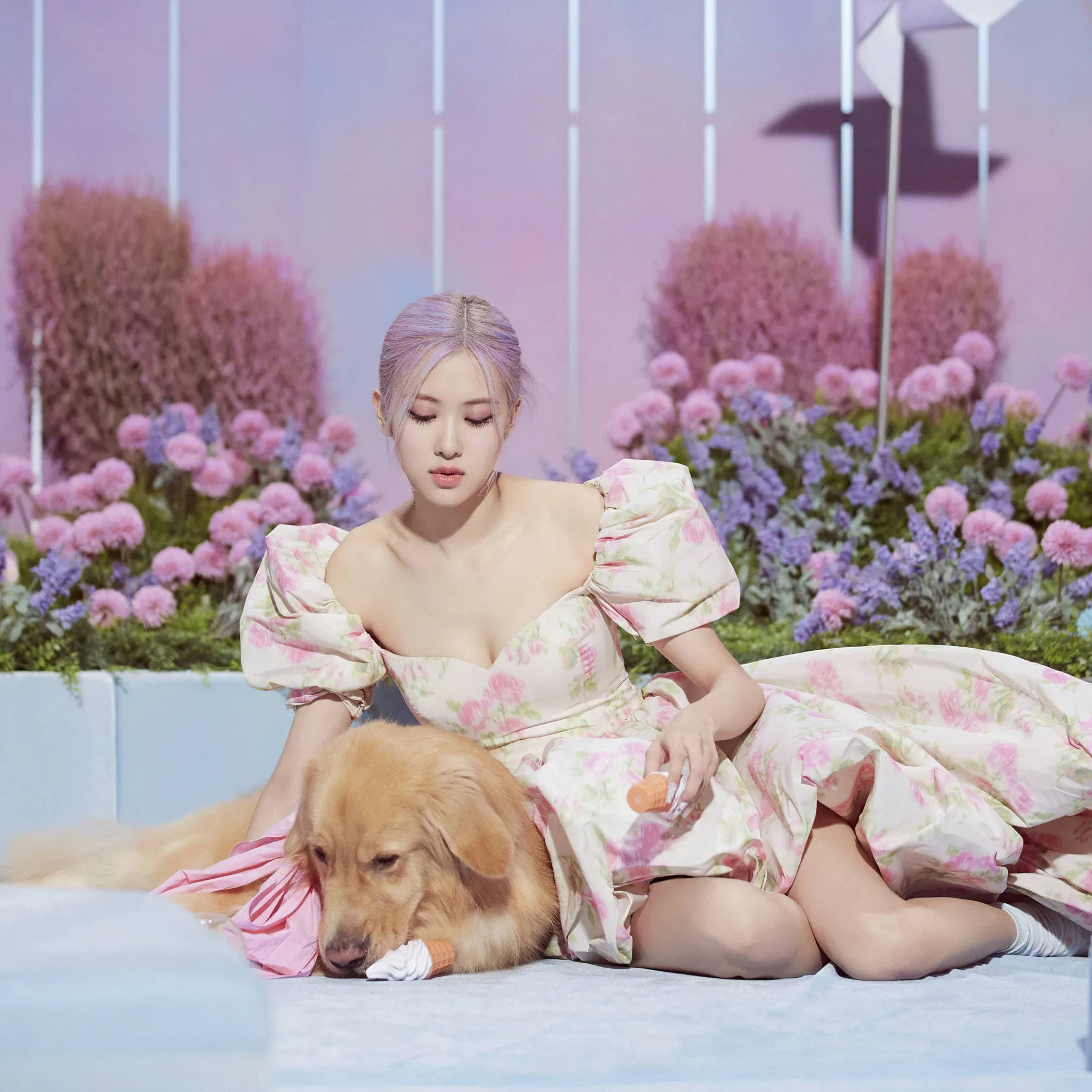 BLACKPINK 桌布 壁紙 — 一位紫髮女子穿著花卉連衣裙，坐在一隻拿著冰淇淋甜筒的金毛尋回犬旁邊，背景是粉紅色和紫色的柔和花卉圖案。