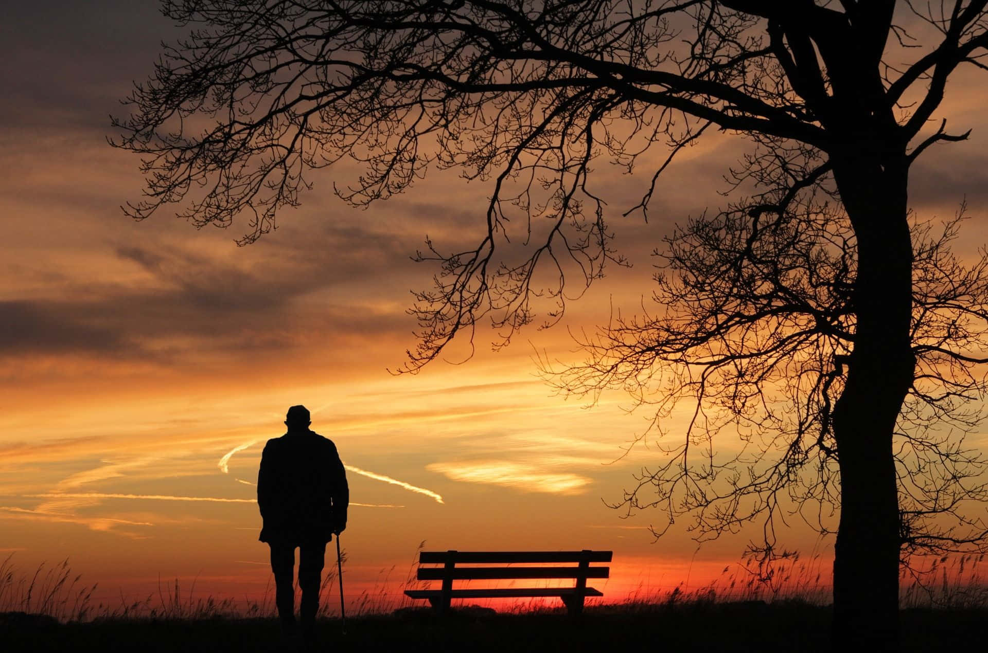 Silhouette 桌布 壁紙 — 一位老人拄著拐杖，在火紅的夕陽下站在一棵光禿禿的樹下的長椅旁。