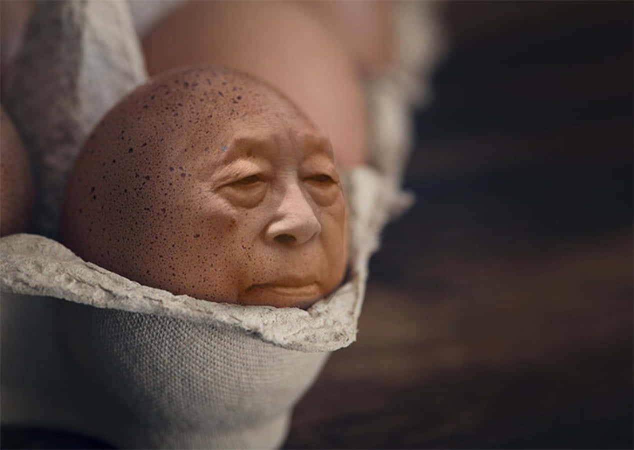 藝術 桌布 壁紙 — 一位老翁的臉部特寫，從一個裂開的蛋殼中顯現，蛋殼由一塊有紋理的布包裹著。