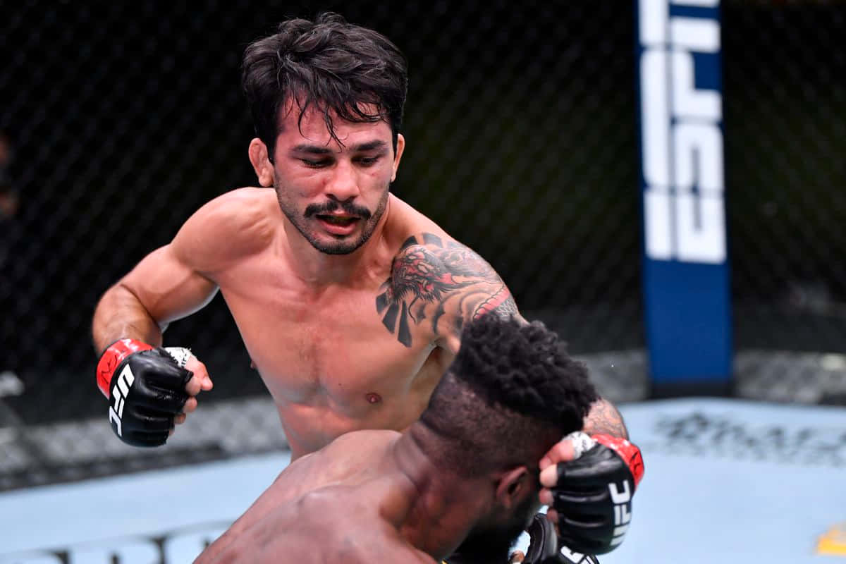 MMA 桌布 壁紙 — 一位肌肉發達、手臂有刺青的拳手在UFC八角籠內向對手打出強力一拳。