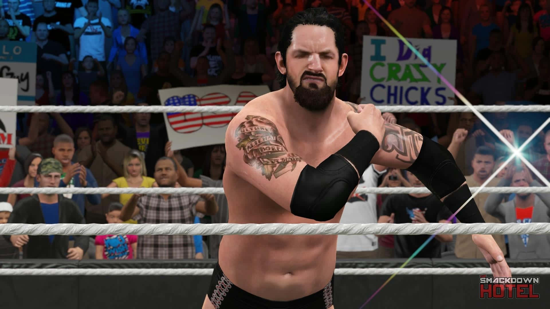 WWE 桌布 壁紙 — 一位肌肉發達、有刺青和鬍鬚的摔角手站在摔角擂台上，周圍是舉著標語牌歡呼的粉絲。