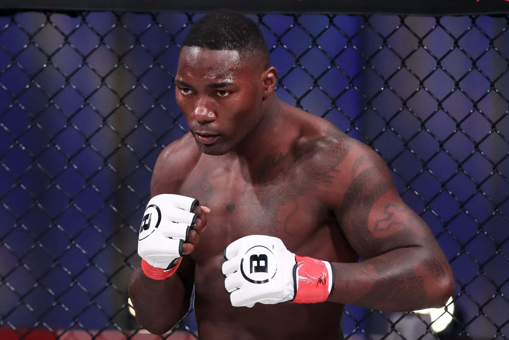 MMA 桌布 壁紙 — 一位肌肉發達、有刺青的拳手在籠內戴著白色手套和紅色護腕，眼神專注。